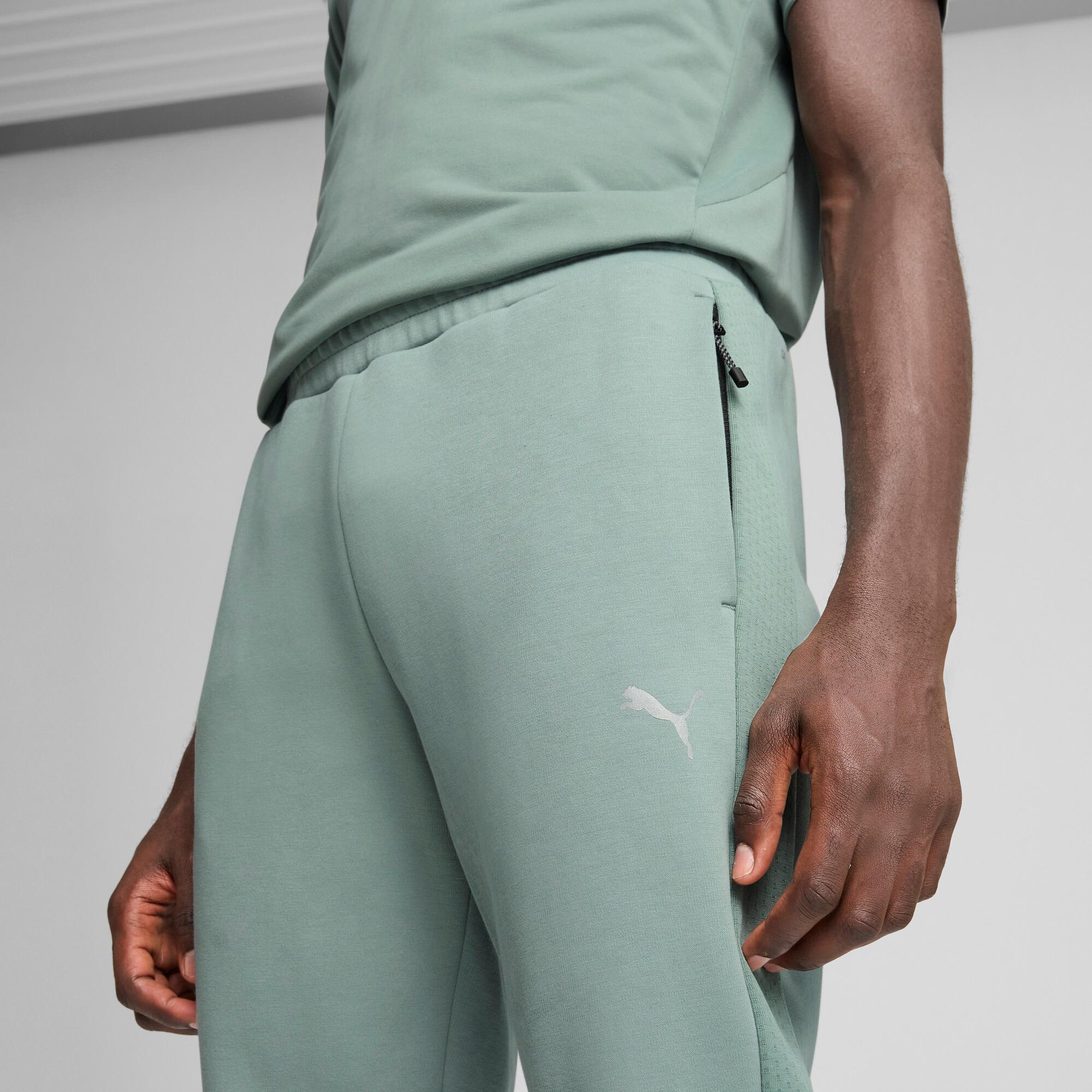 Evostripe Men's Pants Product Image