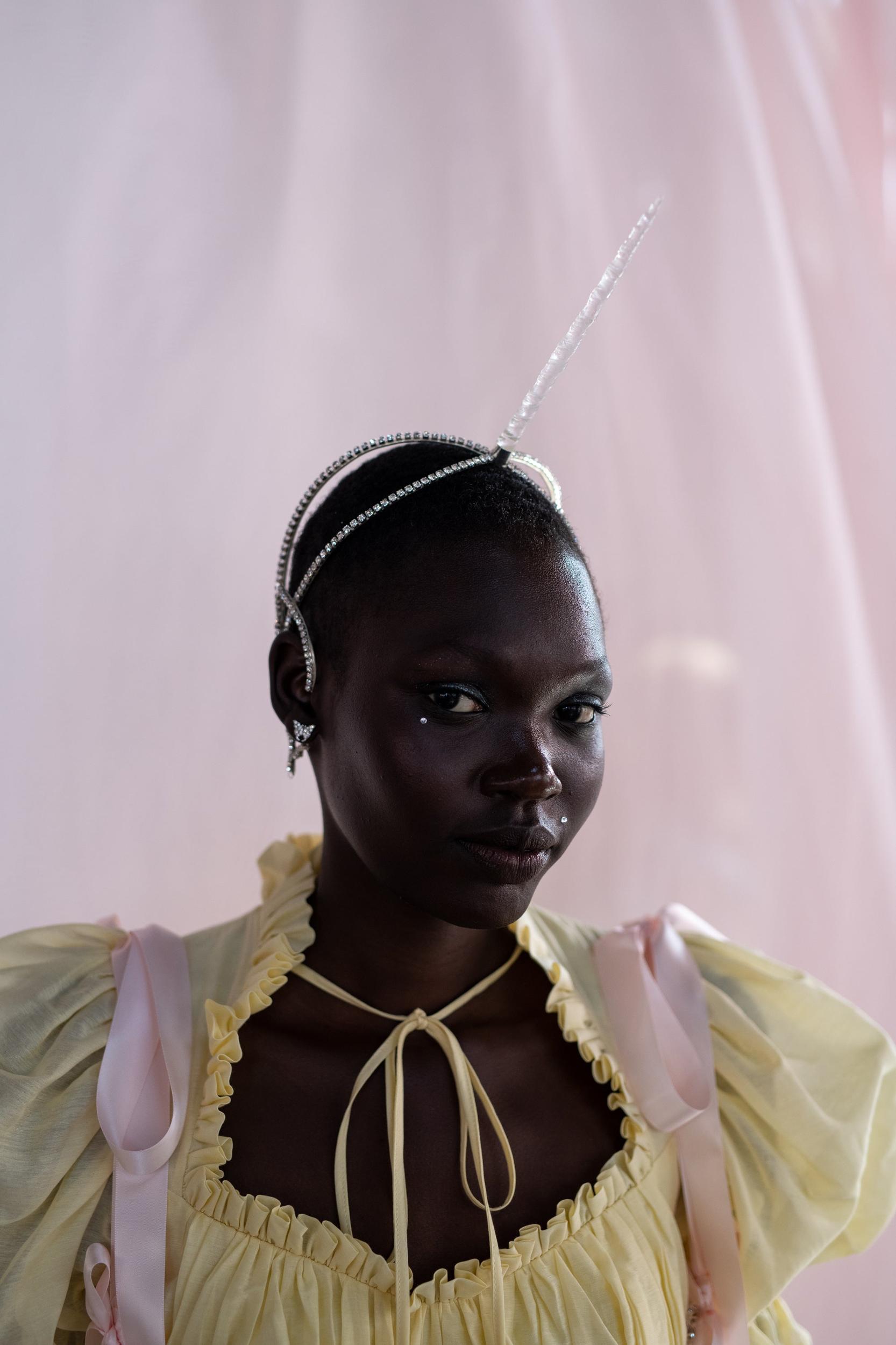 The Twinkie Portrait of a Lady Dress Product Image