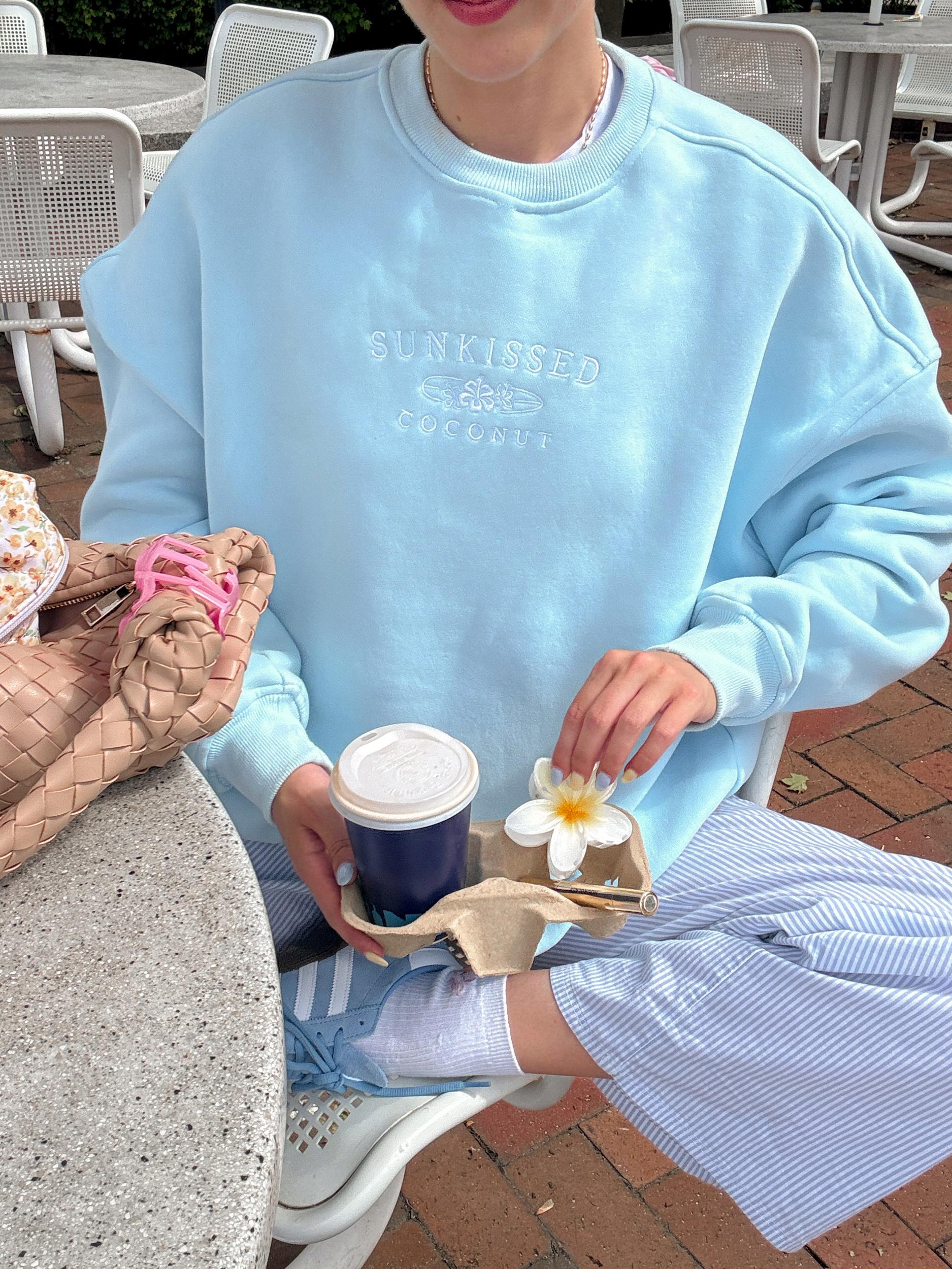 Icy Blue Basic Blank Sweatshirt Product Image