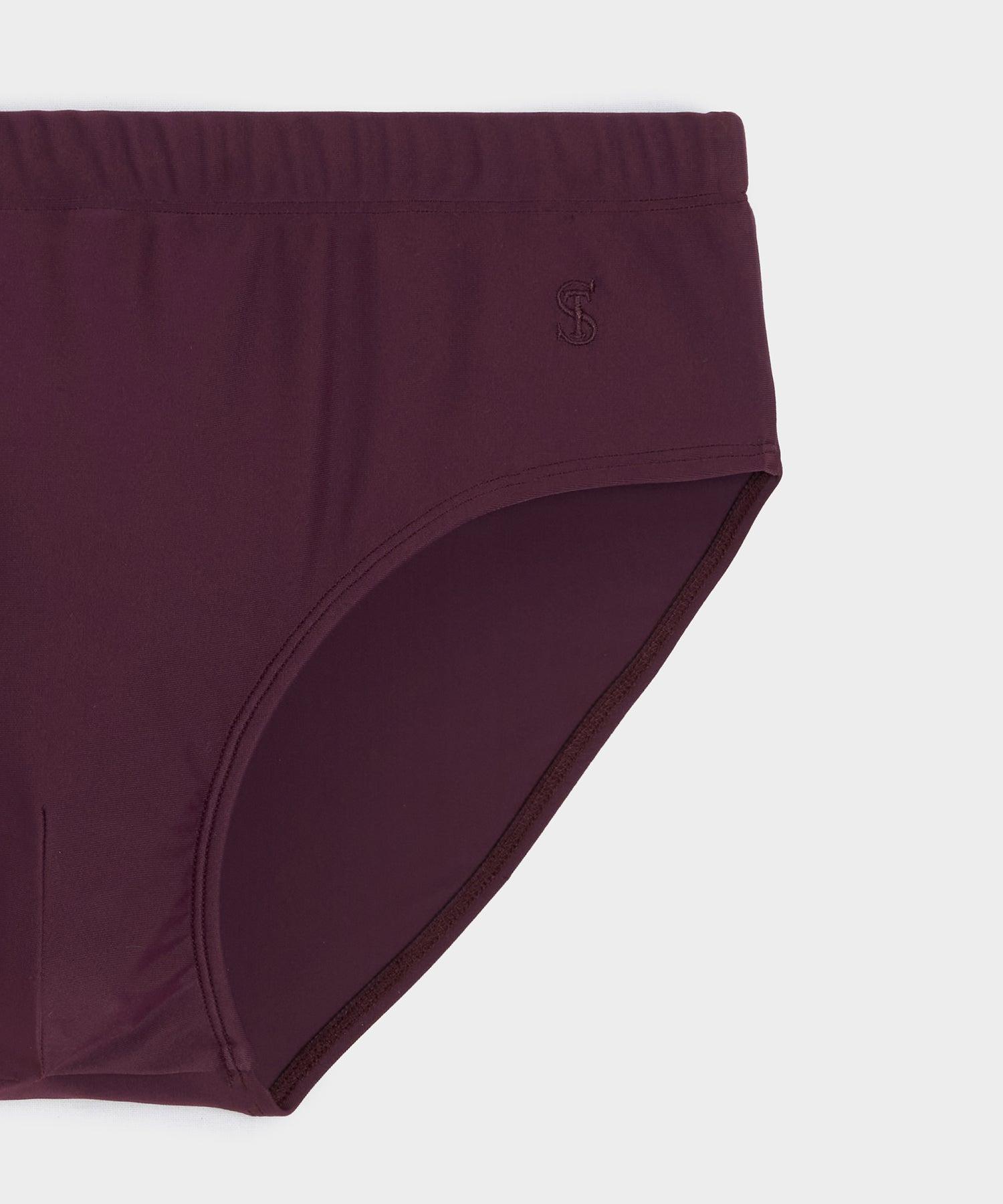 Mykonos Swim Brief Product Image