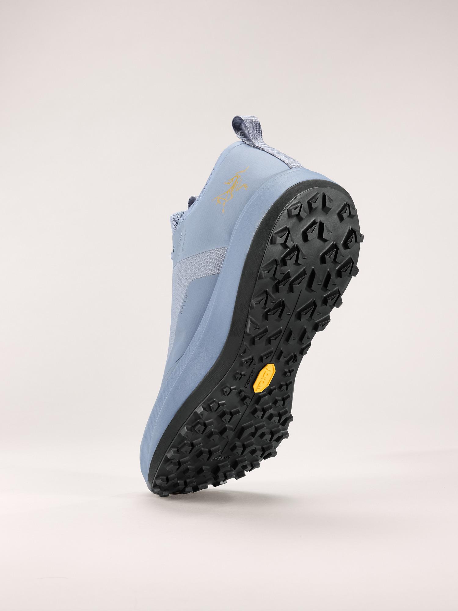 Sylan GTX Shoe Men's Product Image