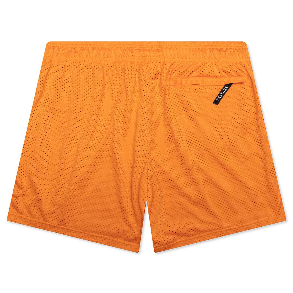 West Mesh Shorts - Crimson Male Product Image