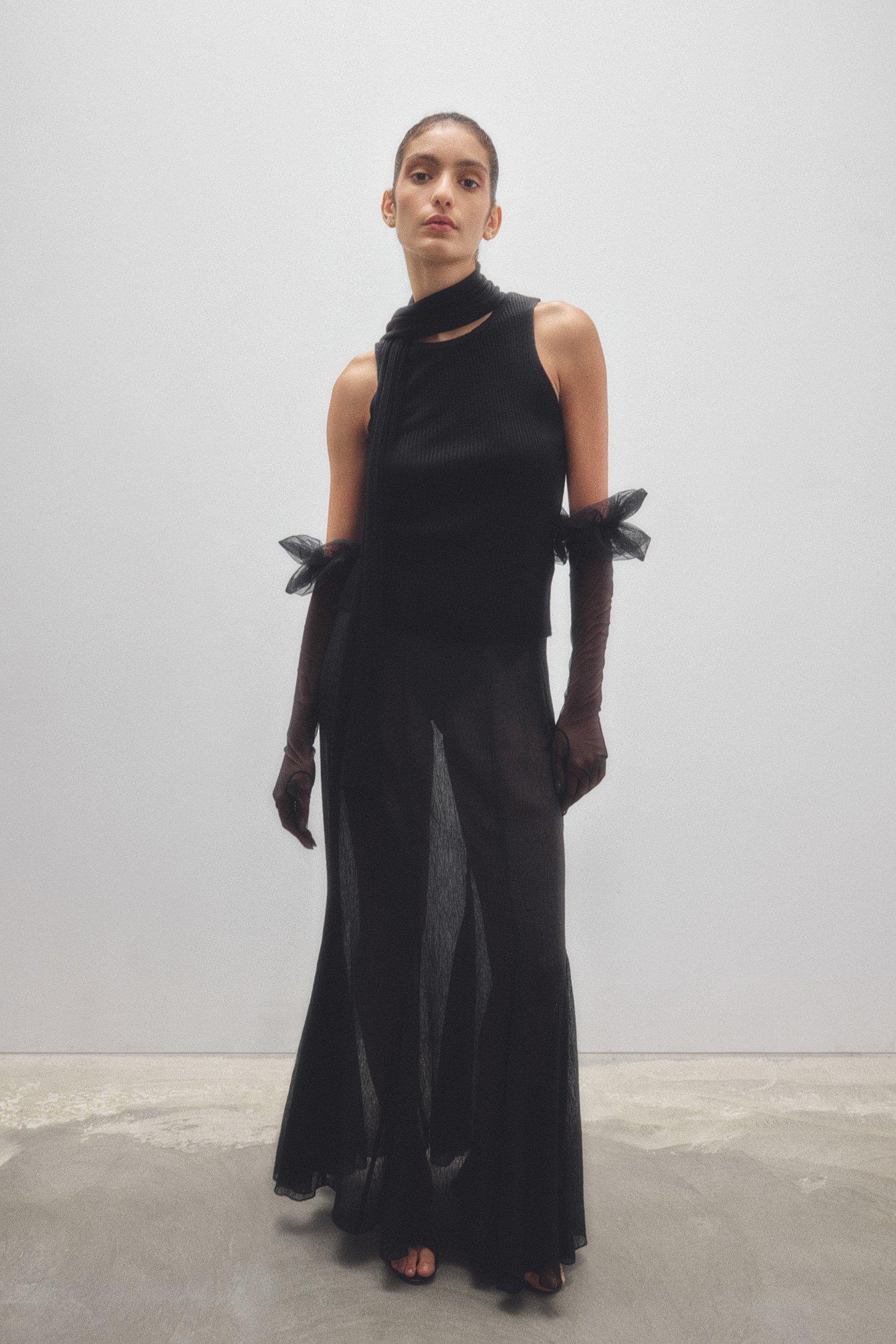 Seethrough Maxi Skirt Product Image