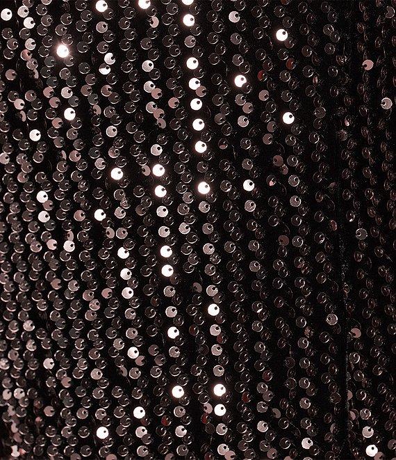 Ignite Evenings Sequin Velvet Crew Neck 3/4 Sleeve Sheath Dress Product Image