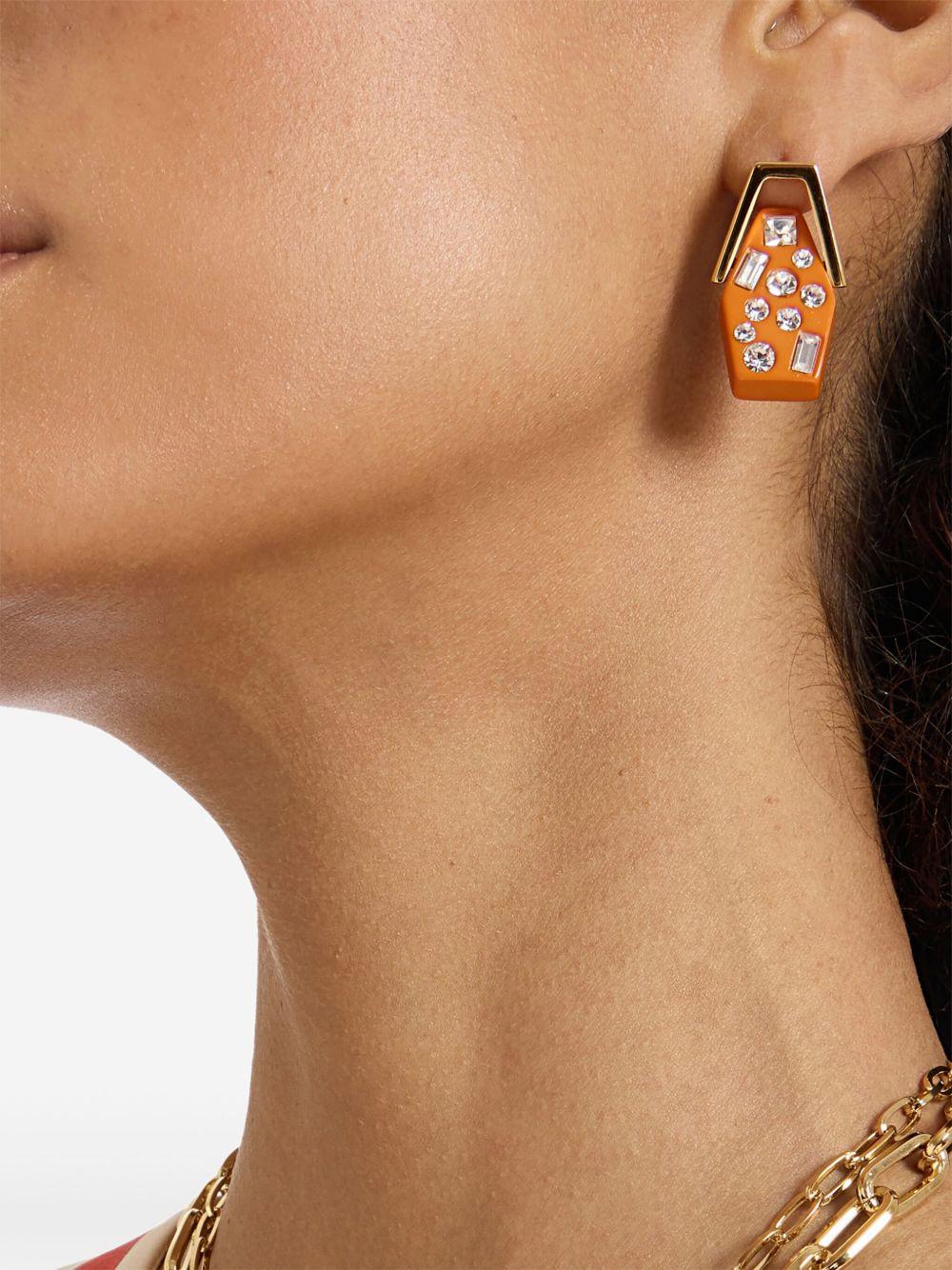 Swinging Portal earrings Product Image