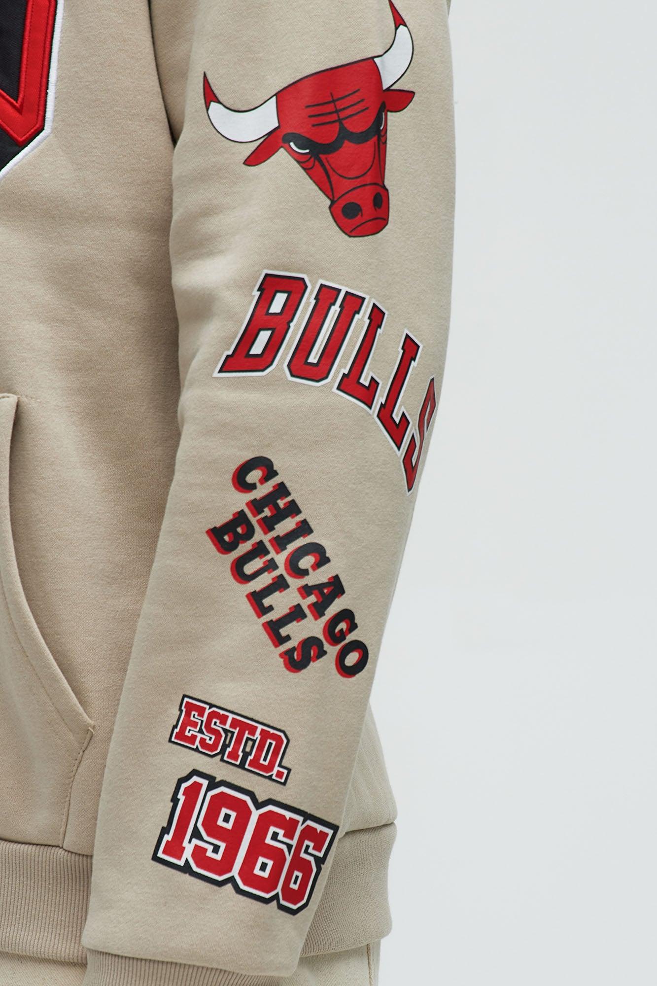 Bulls City Connect Hoodie - Sand Male Product Image