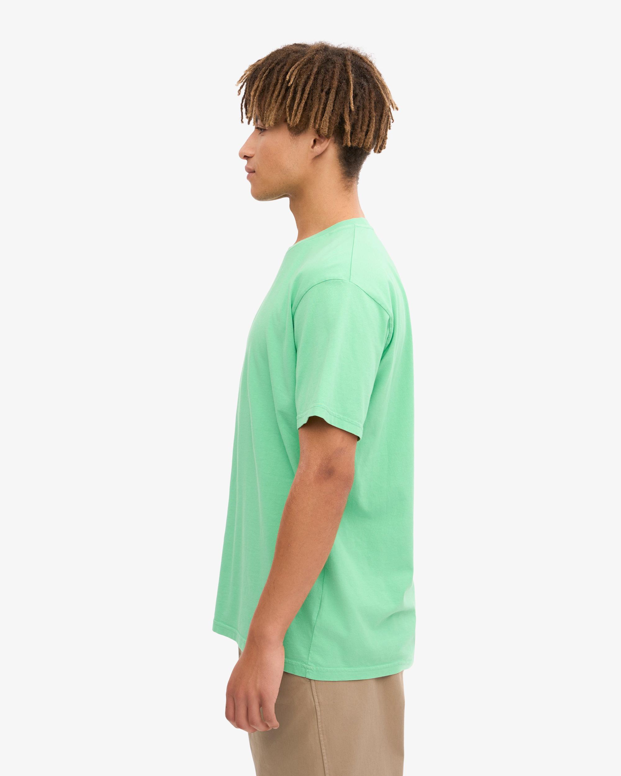 Classic Organic Tee - Spring Green Product Image