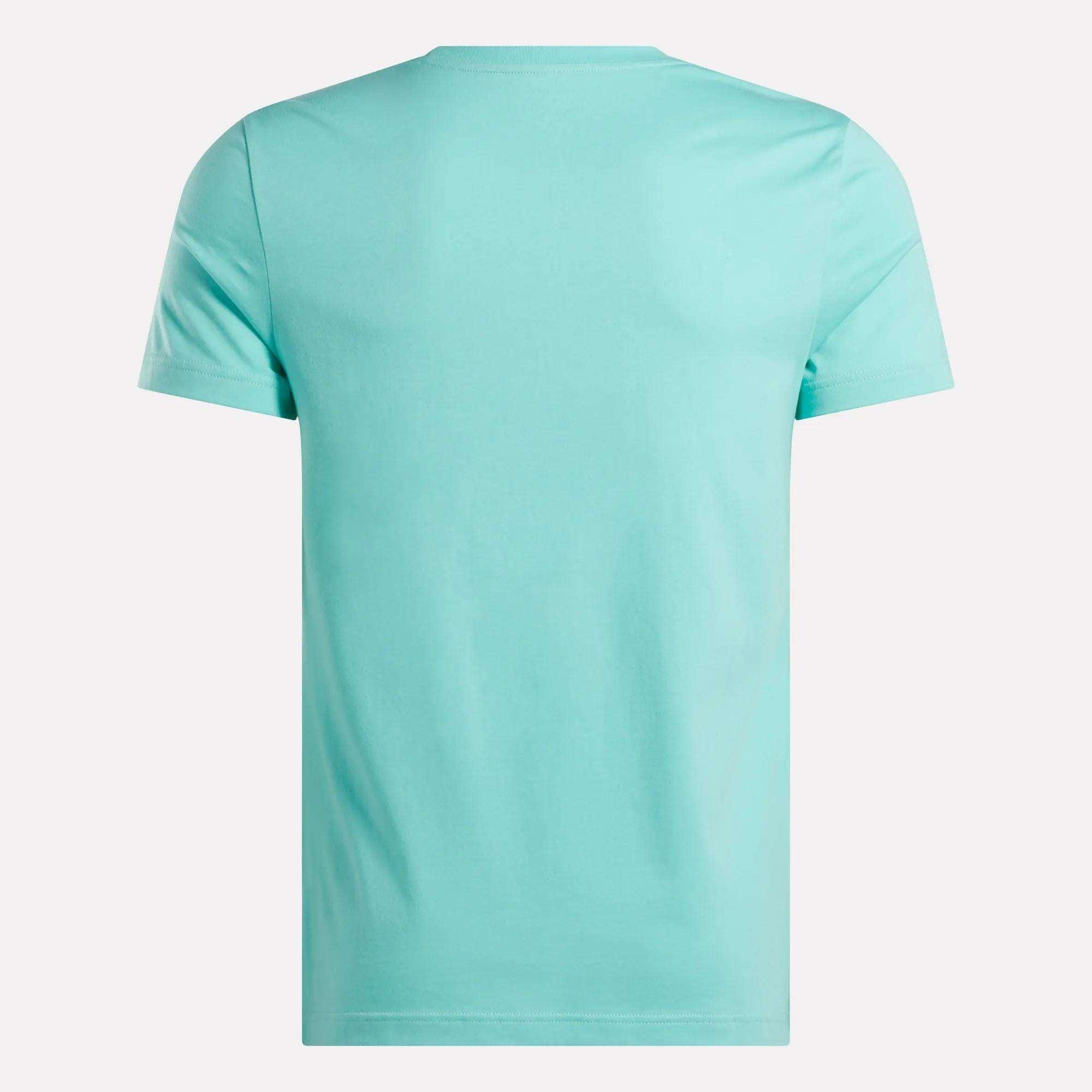 Men's Reebok Identity Classics T-Shirt Male Product Image