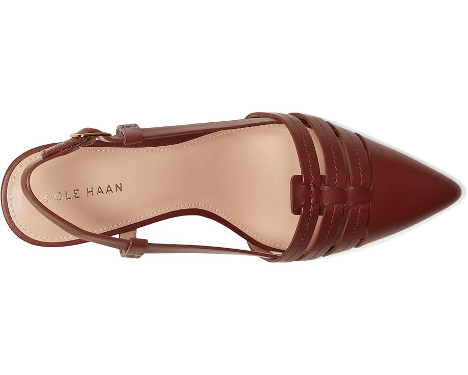 MSRP: $120(10% OFF) Product Image