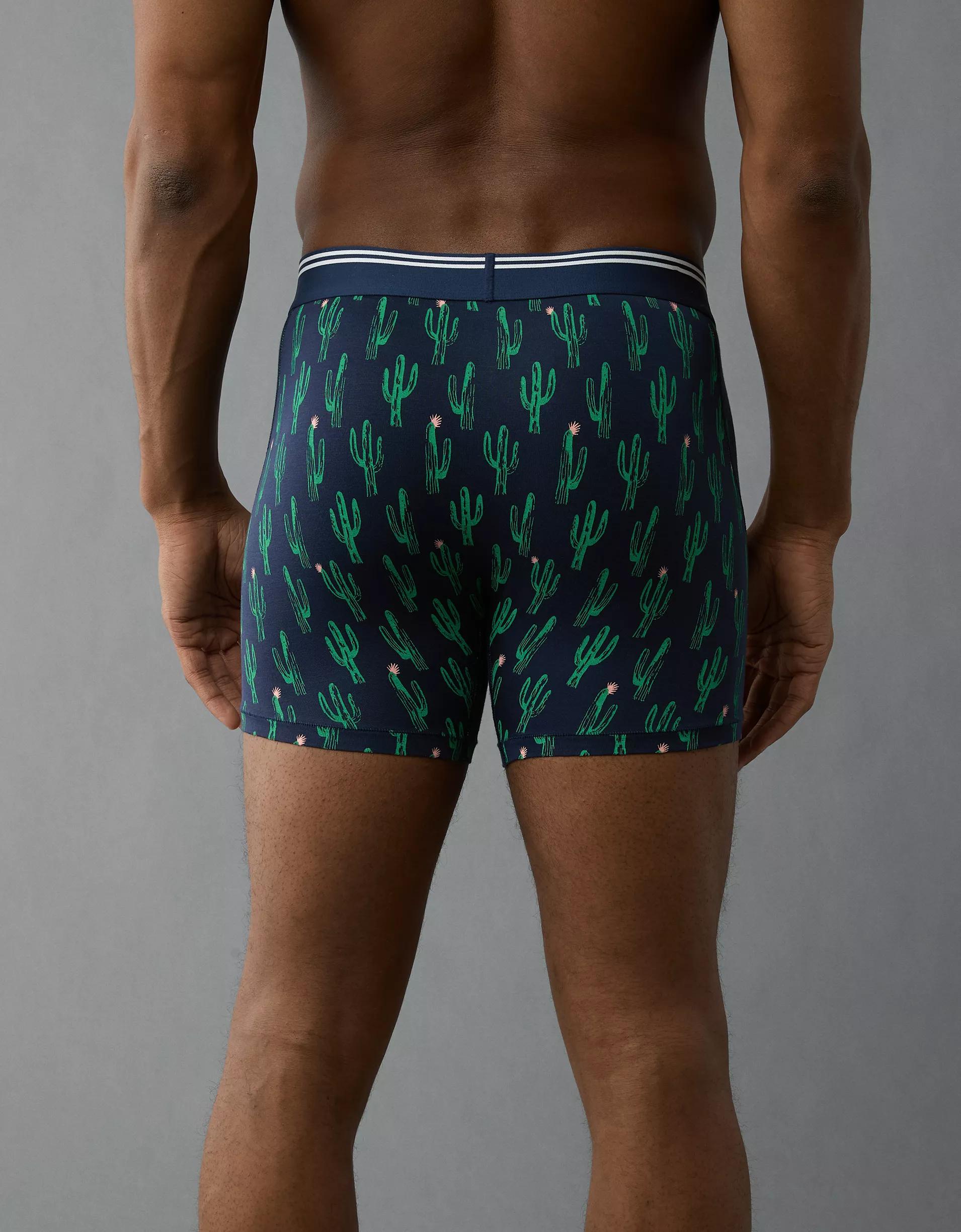 AEO Men's Cacti 4.5" Ultra Soft Boxer Brief Product Image