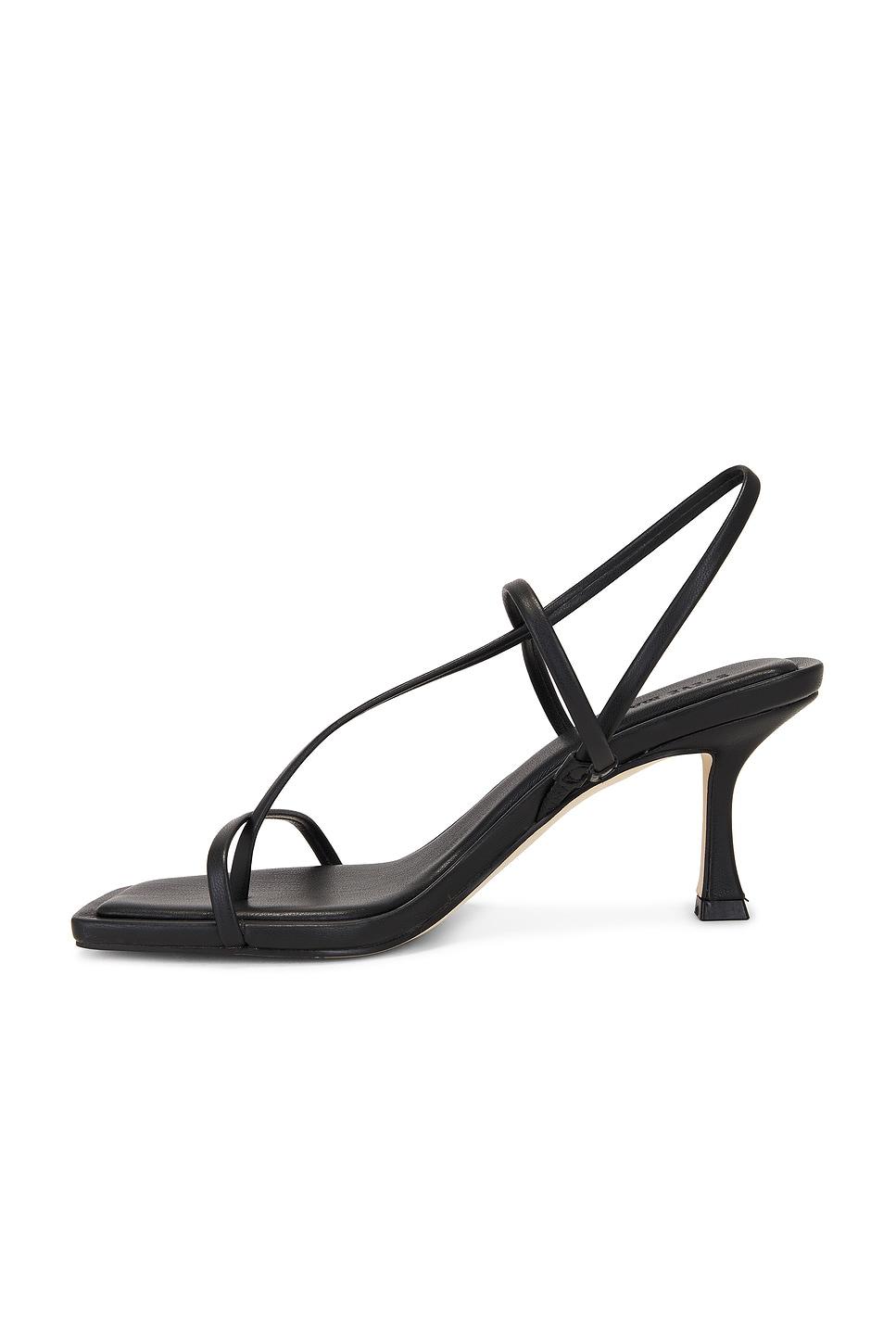 Locke Heel Steve Madden Product Image