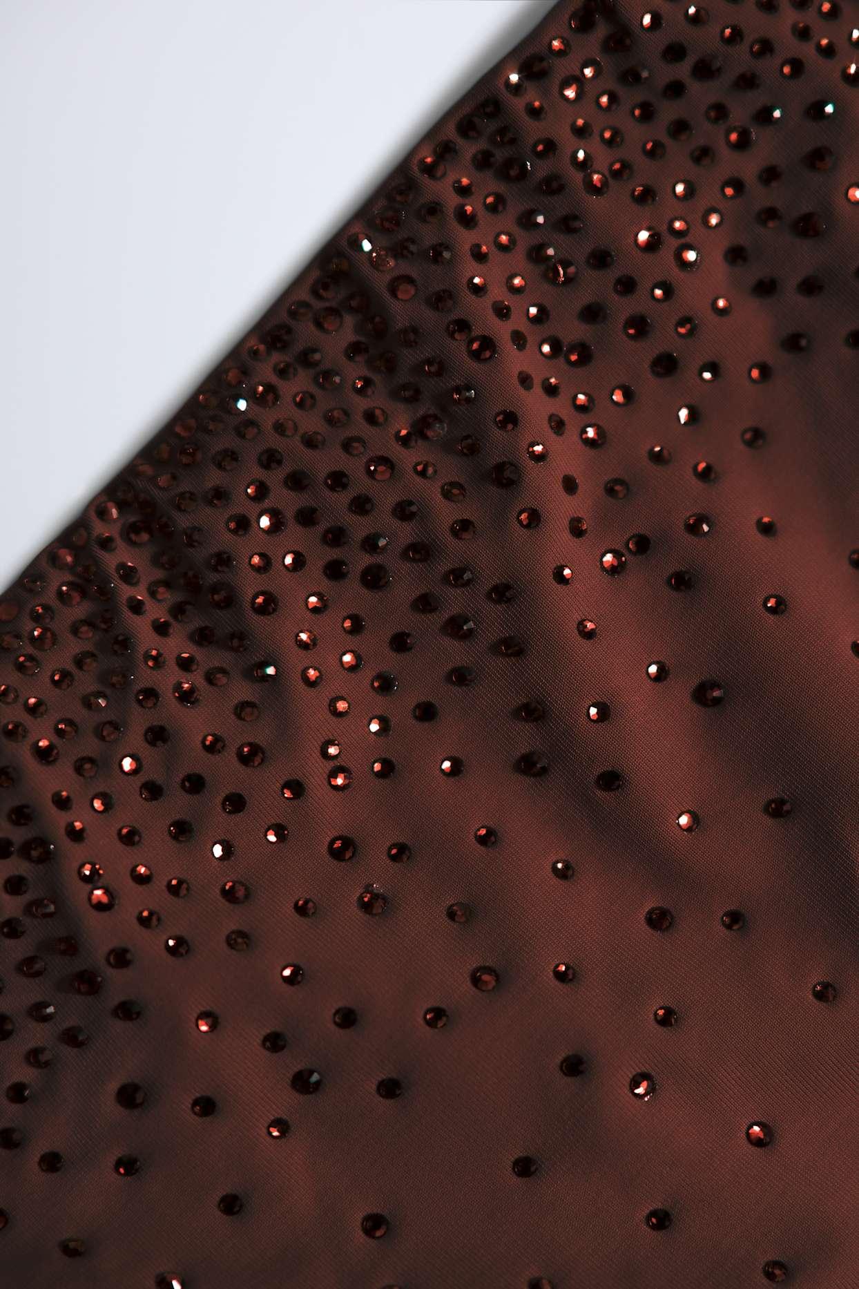 Embellished Cut-Out Swimsuit in Chocolate Brown Product Image