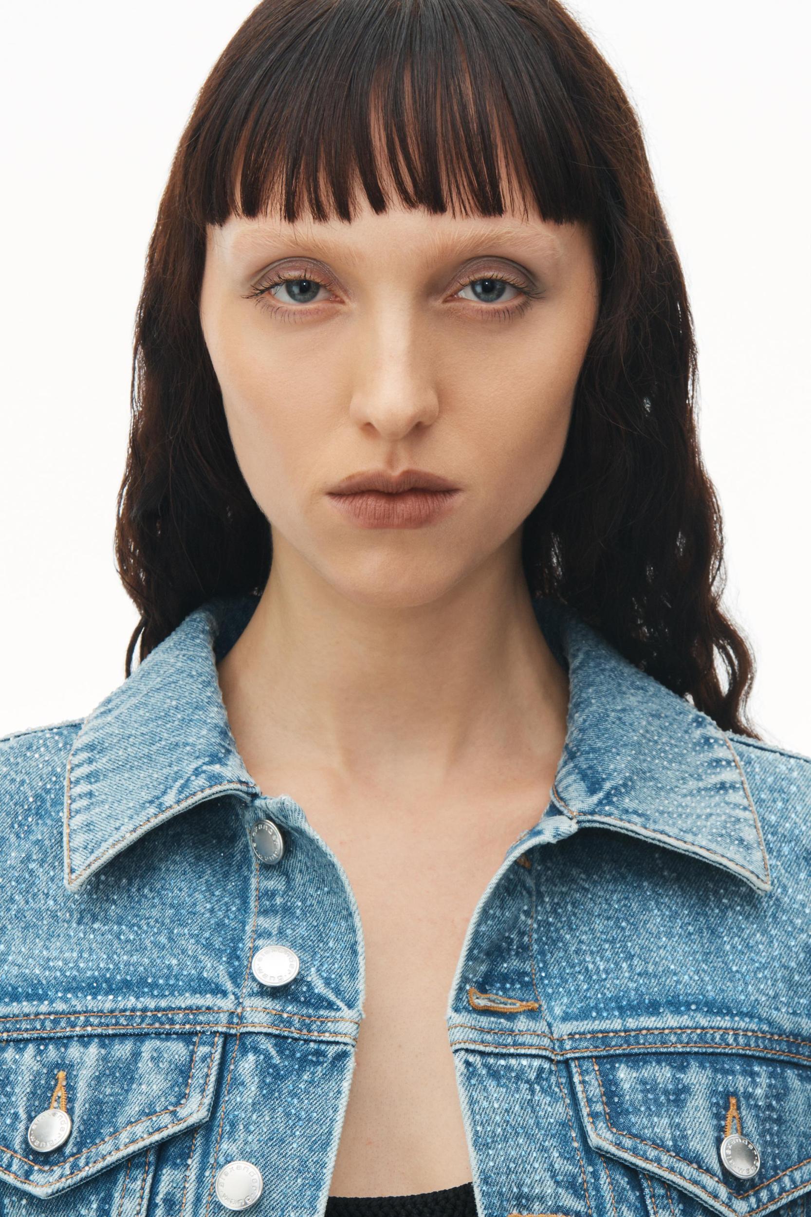 Cropped Denim Trucker Jacket In Clear Hotfix Product Image