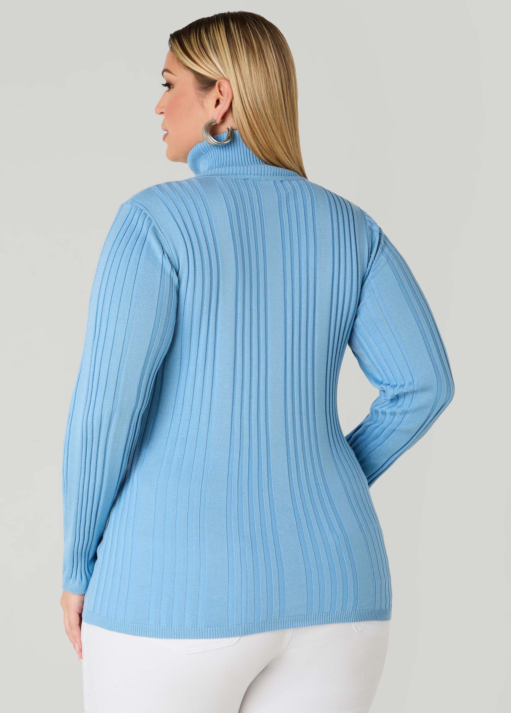 Pullover Turtleneck Sweater Product Image