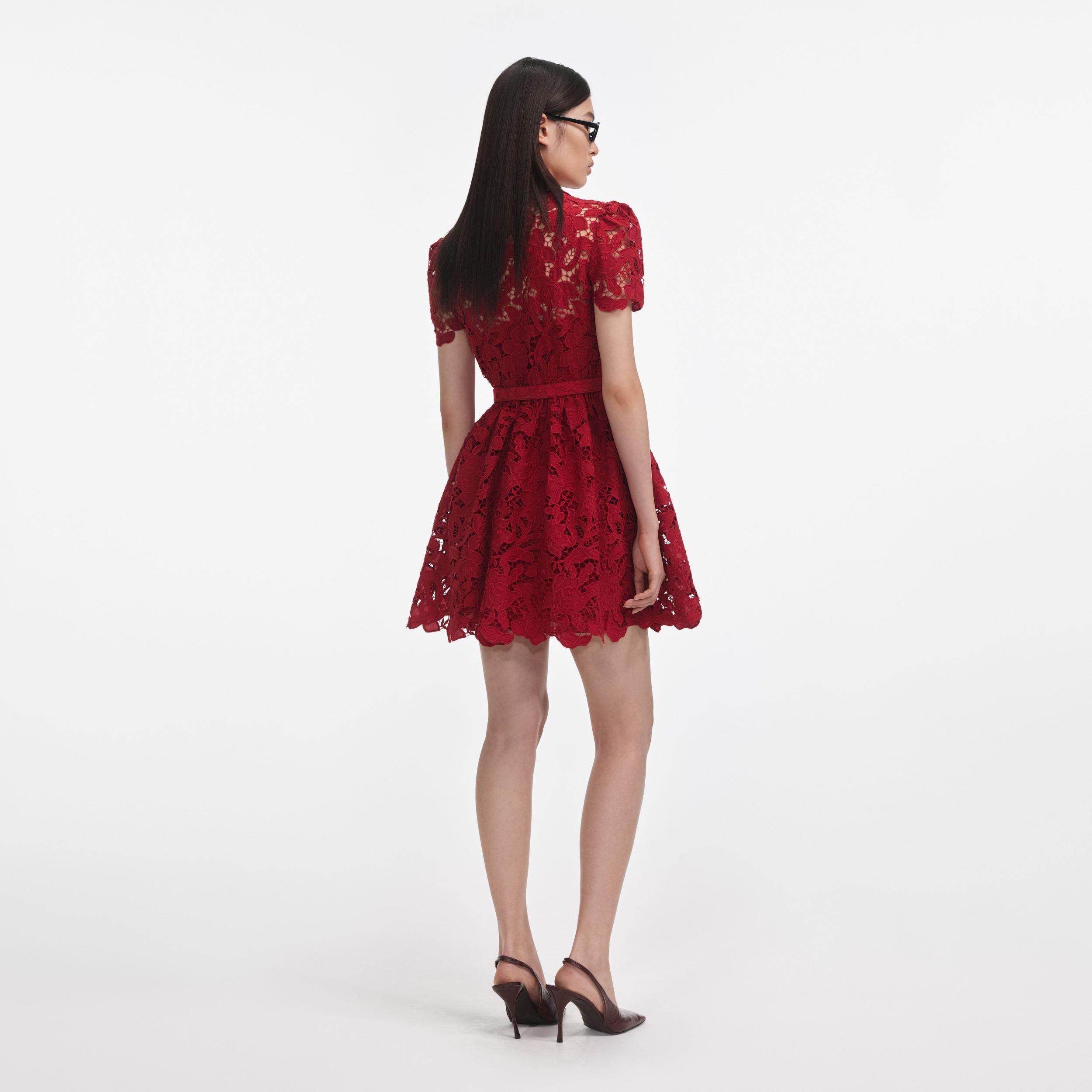 Burgundy Lace Collared Mini Dress Product Image