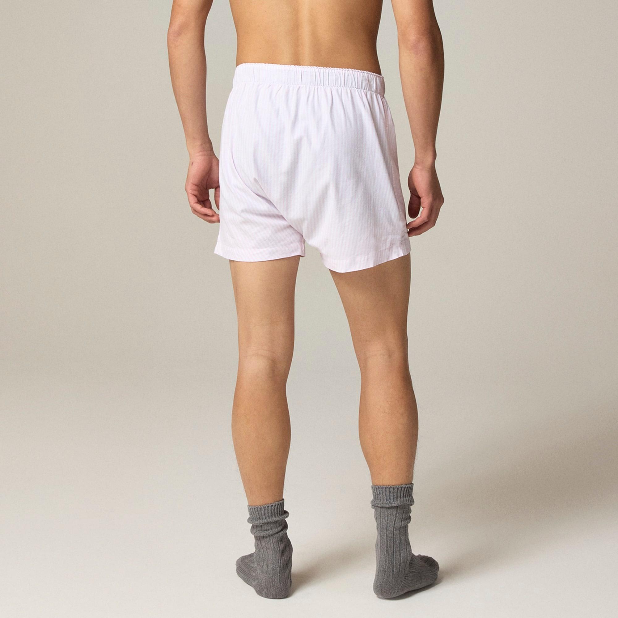 Boxer short in Broken-in organic cotton oxford Product Image