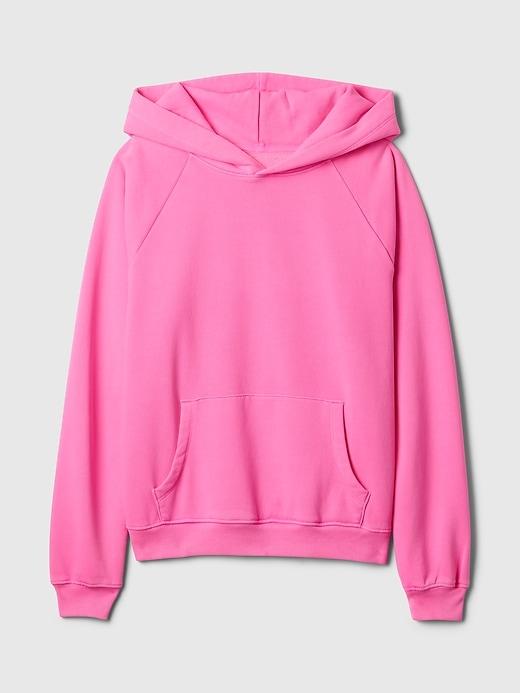 VintageSoft Hoodie Product Image