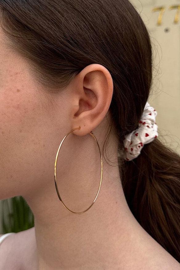 Hoop Earrings Product Image