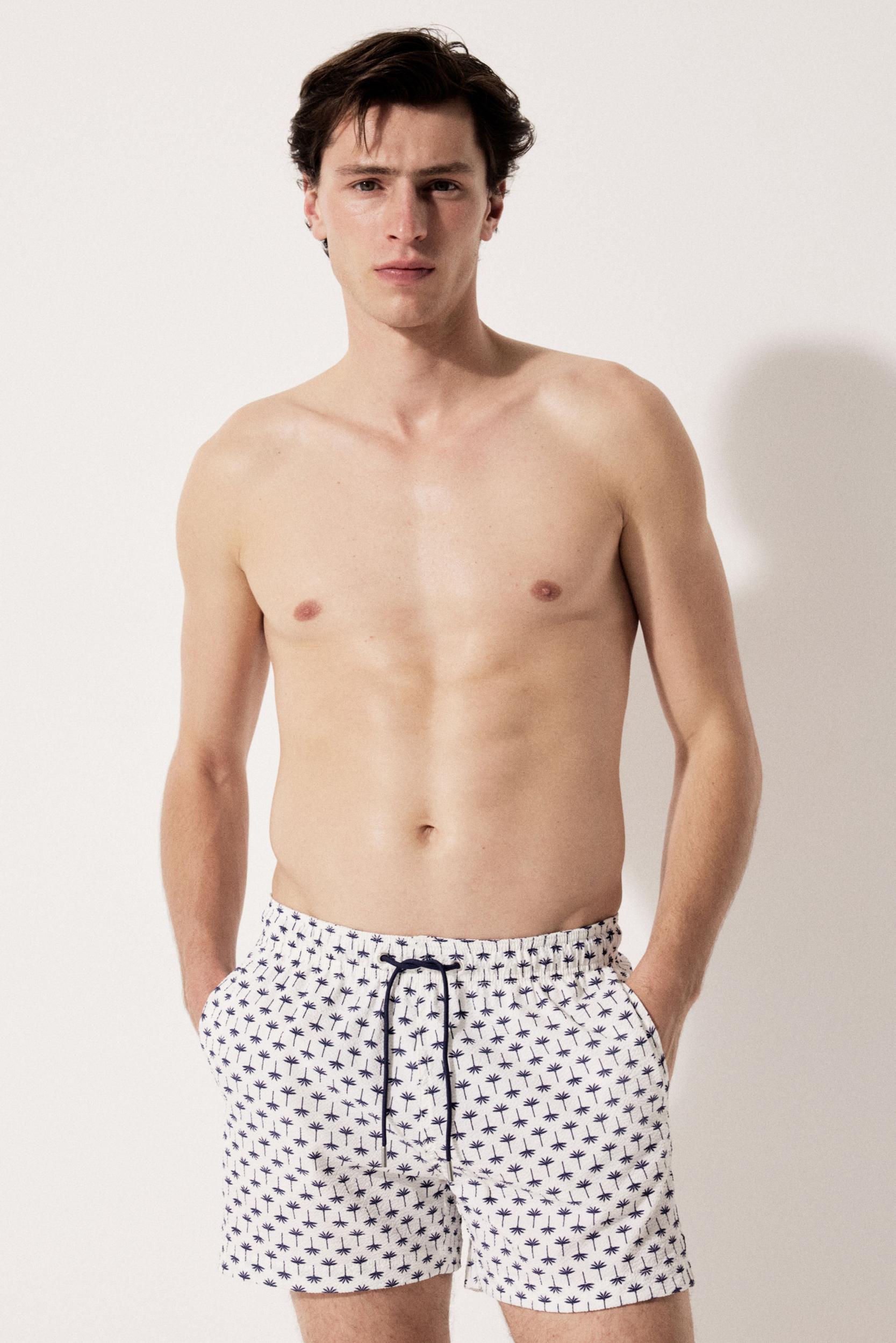 Seersucker Swim Shorts Product Image
