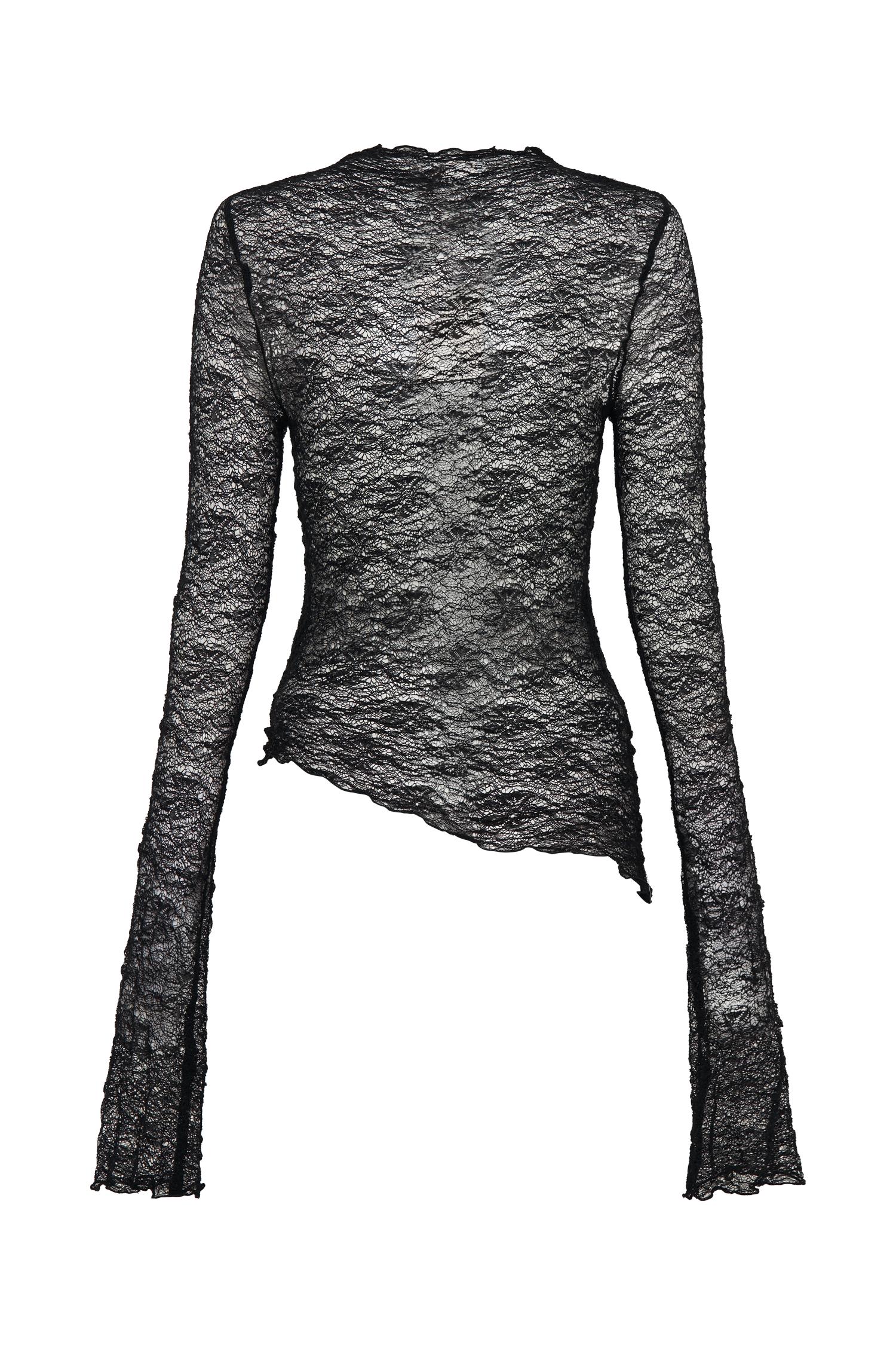 Riley Sheer Lace Long Sleeve Top - Black Product Image