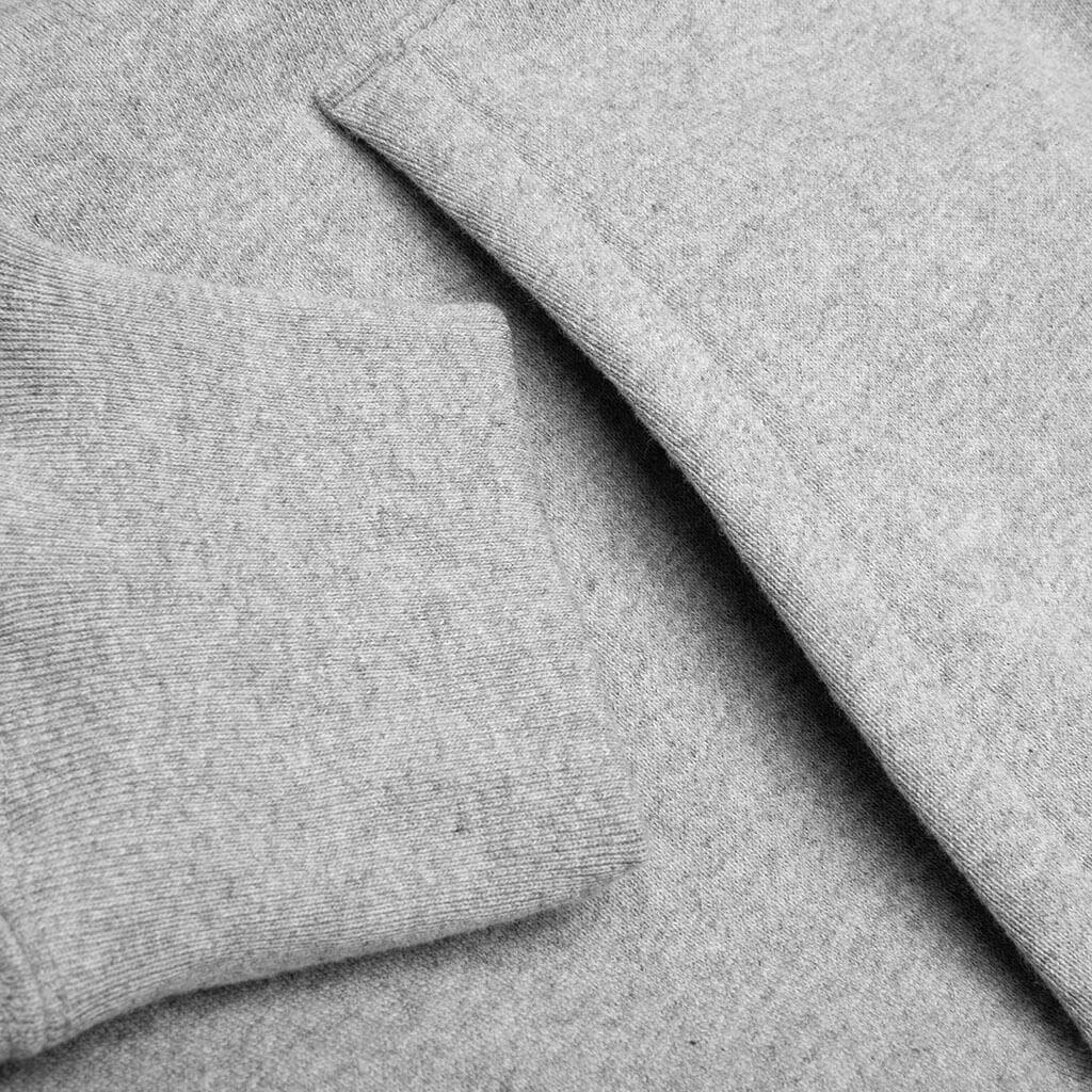 College Relaxed Fit Full Zip Hoodie - Gray Male Product Image