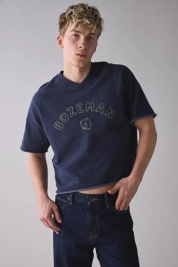 BDG Perry Embroidered Cropped Raglan Short Sleeve Sweatshirt Mens at Urban Outfitters Product Image