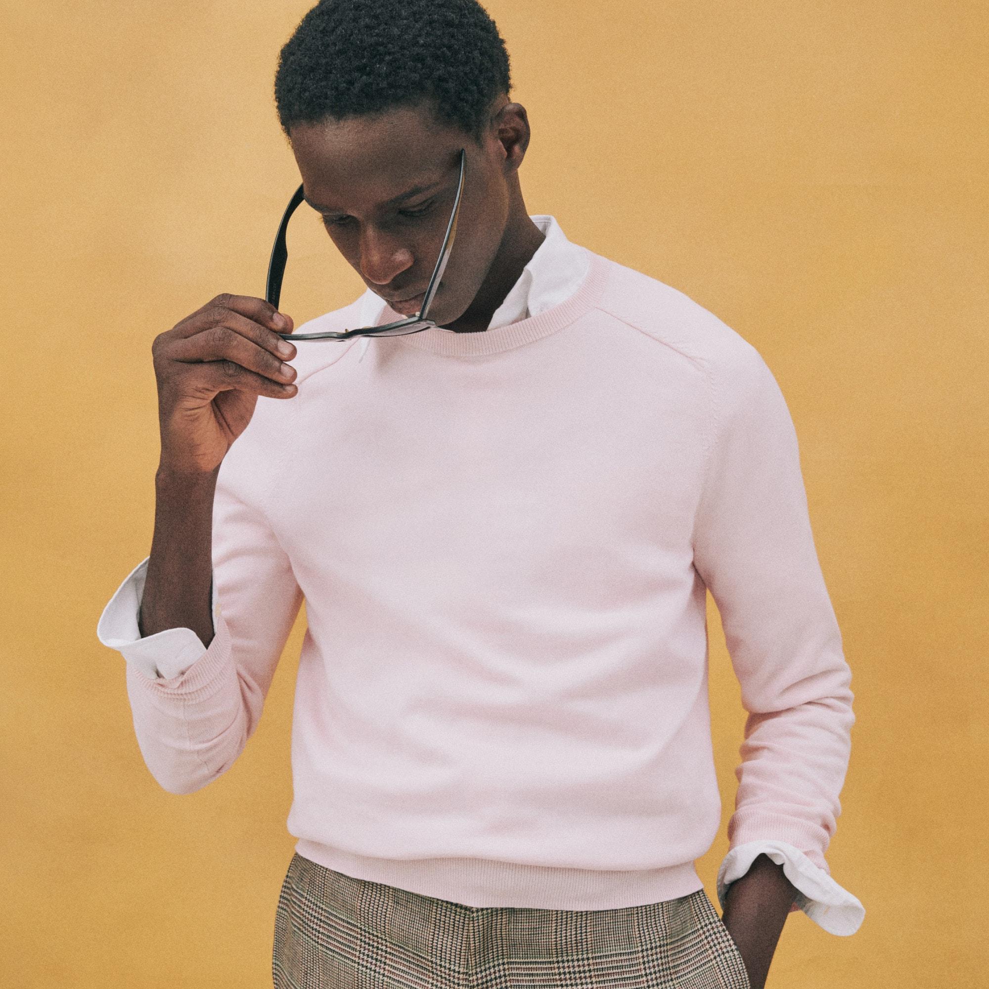 Pima cotton crewneck sweater Product Image