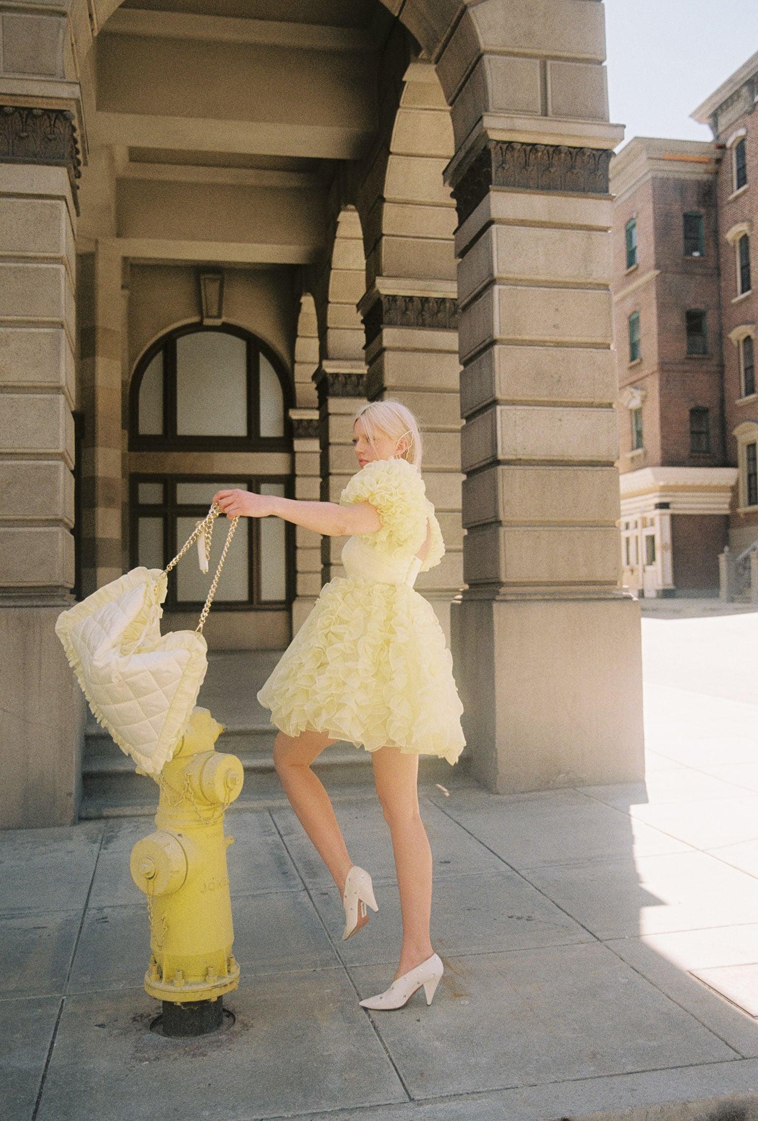 The Twinkie Paris Dress Product Image