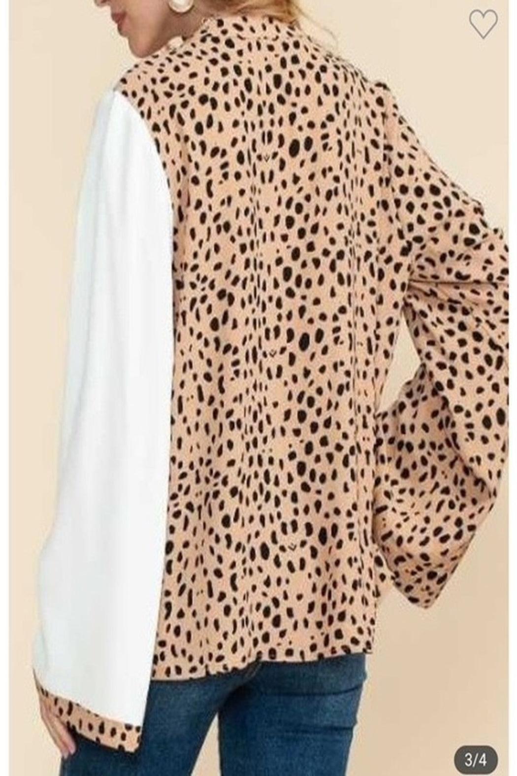 Leopard Colorblock Blouse Product Image