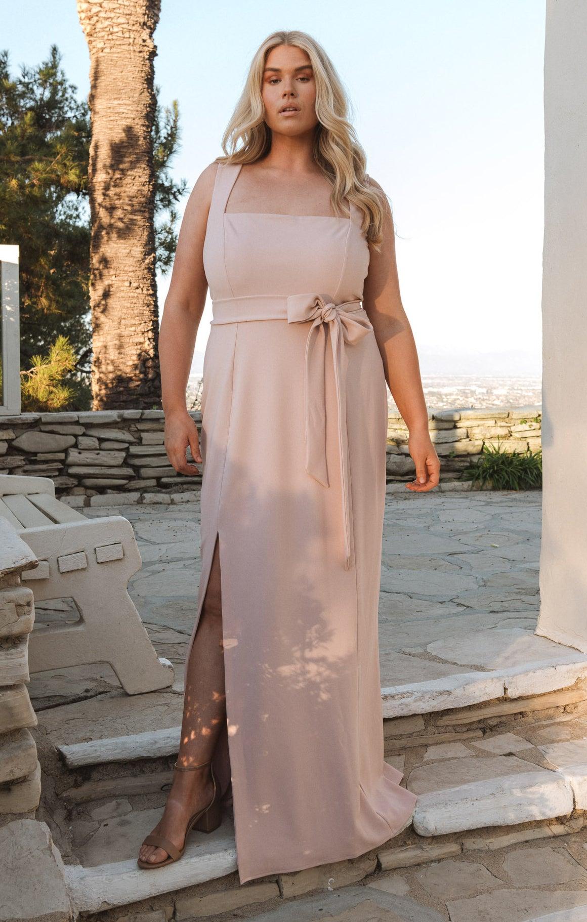 Paris Gown ~ Dusty Blush Stretch Product Image