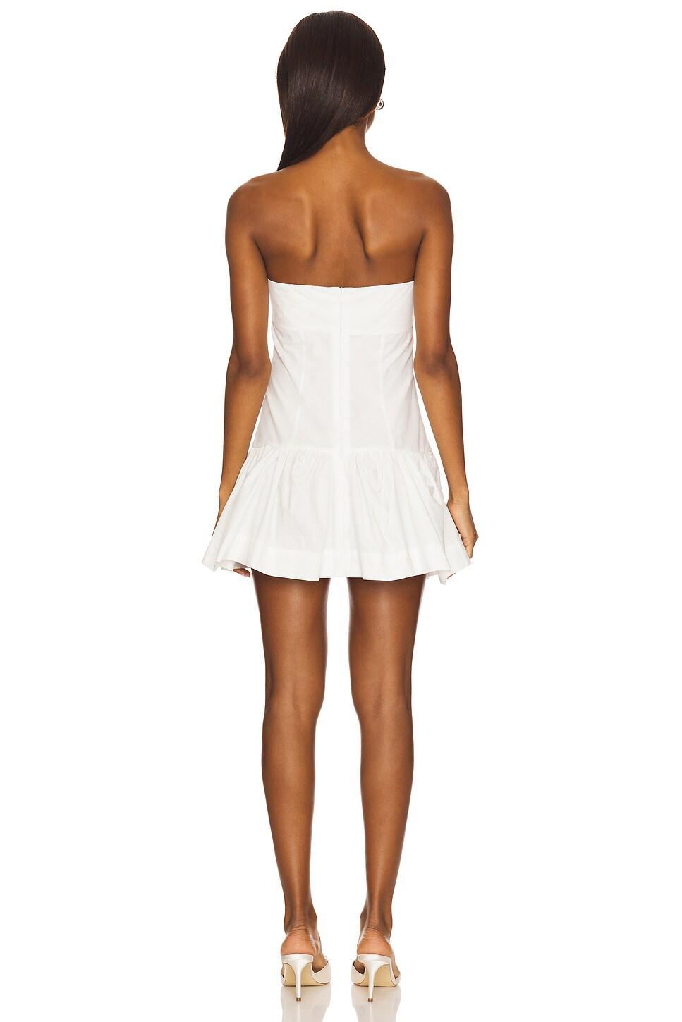 Ava Mini Dress Natalie Rolt Product Image