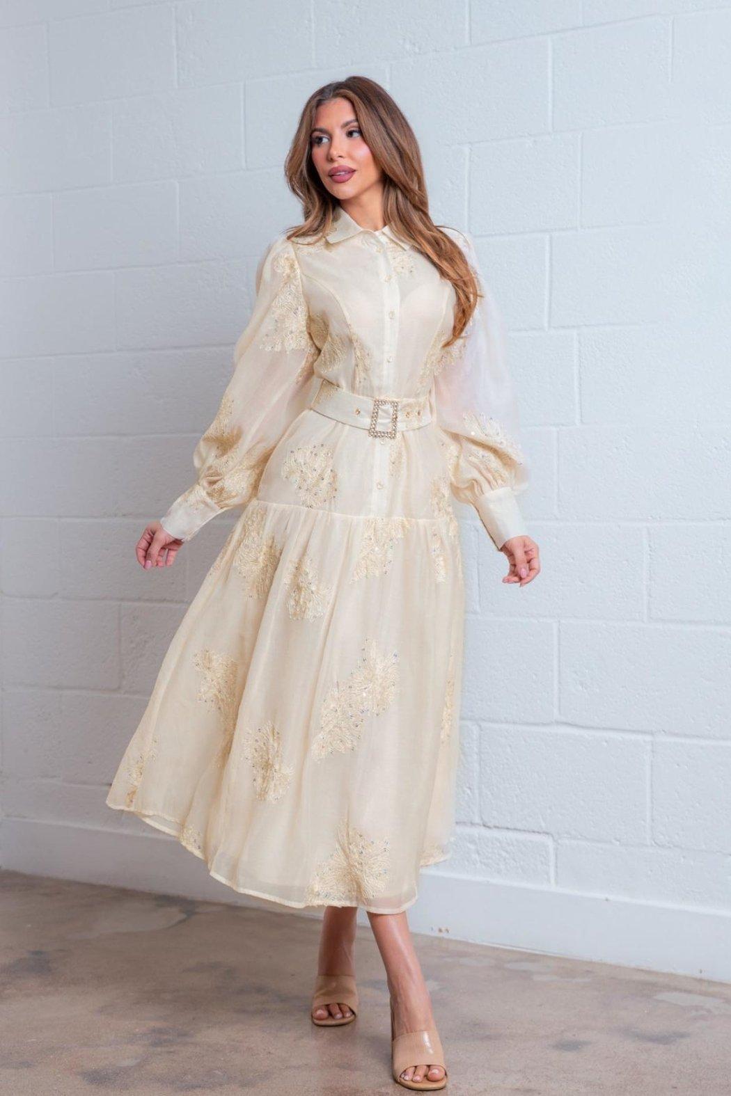 Embroidered Button-Down Dress Product Image