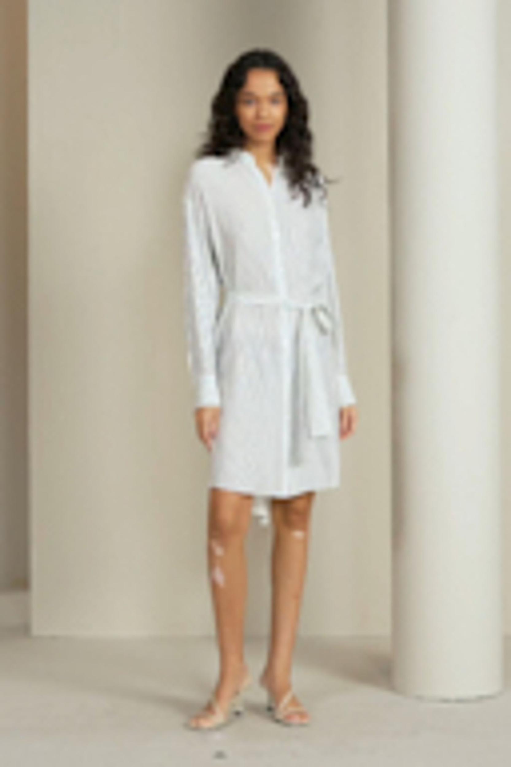 Pinstriped Silk Shirtdress with Belt Product Image