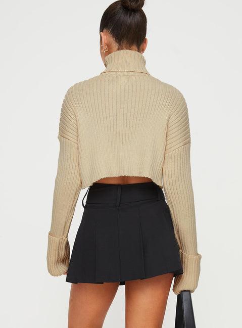 Kinzlee Mini Skirt Black Product Image