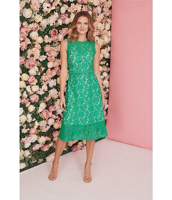 Adrianna Papell Lace Round Neck Sleeveless Knee Length A-Line Dress Product Image