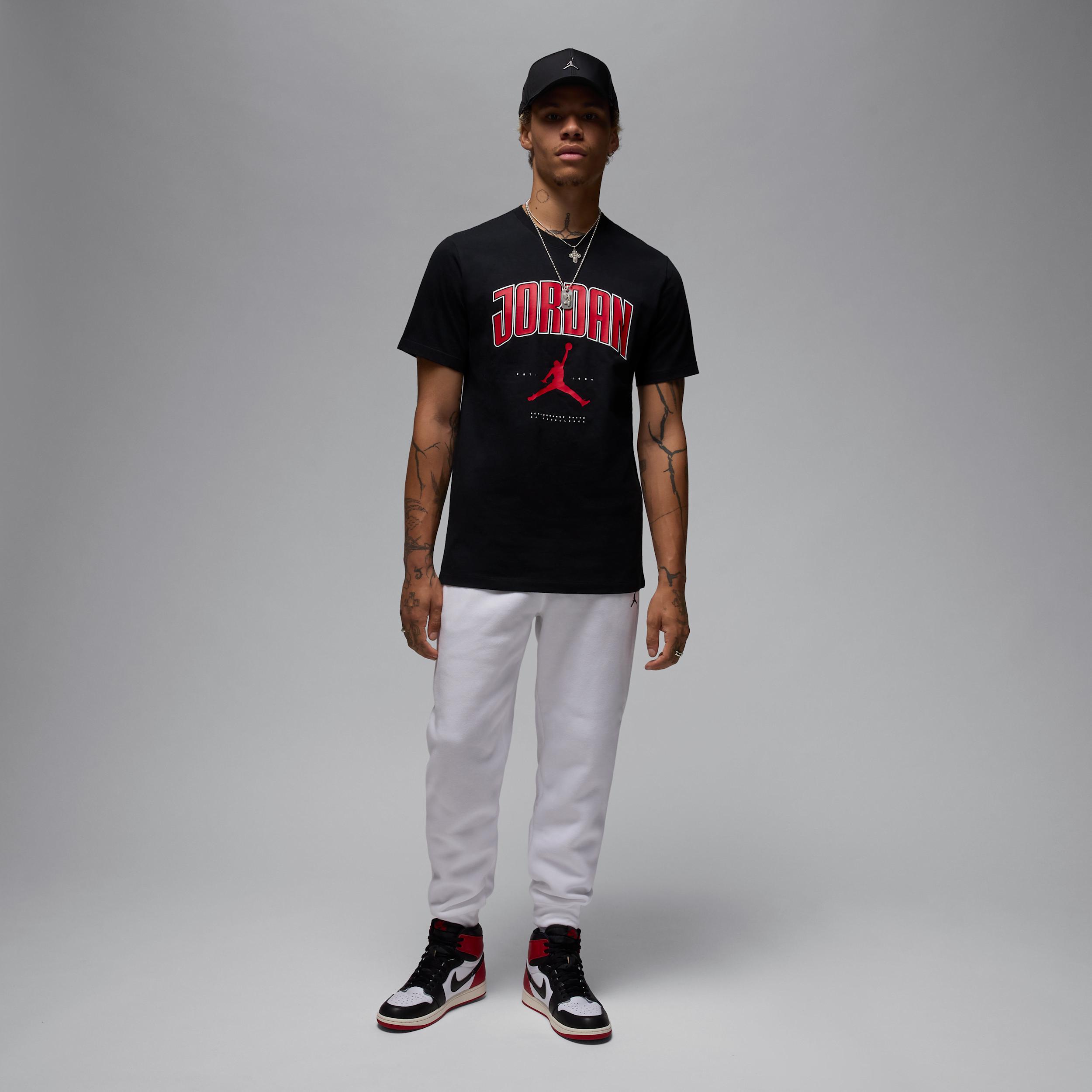 Mens Jordan T-shirt | HQ0009-010 Product Image