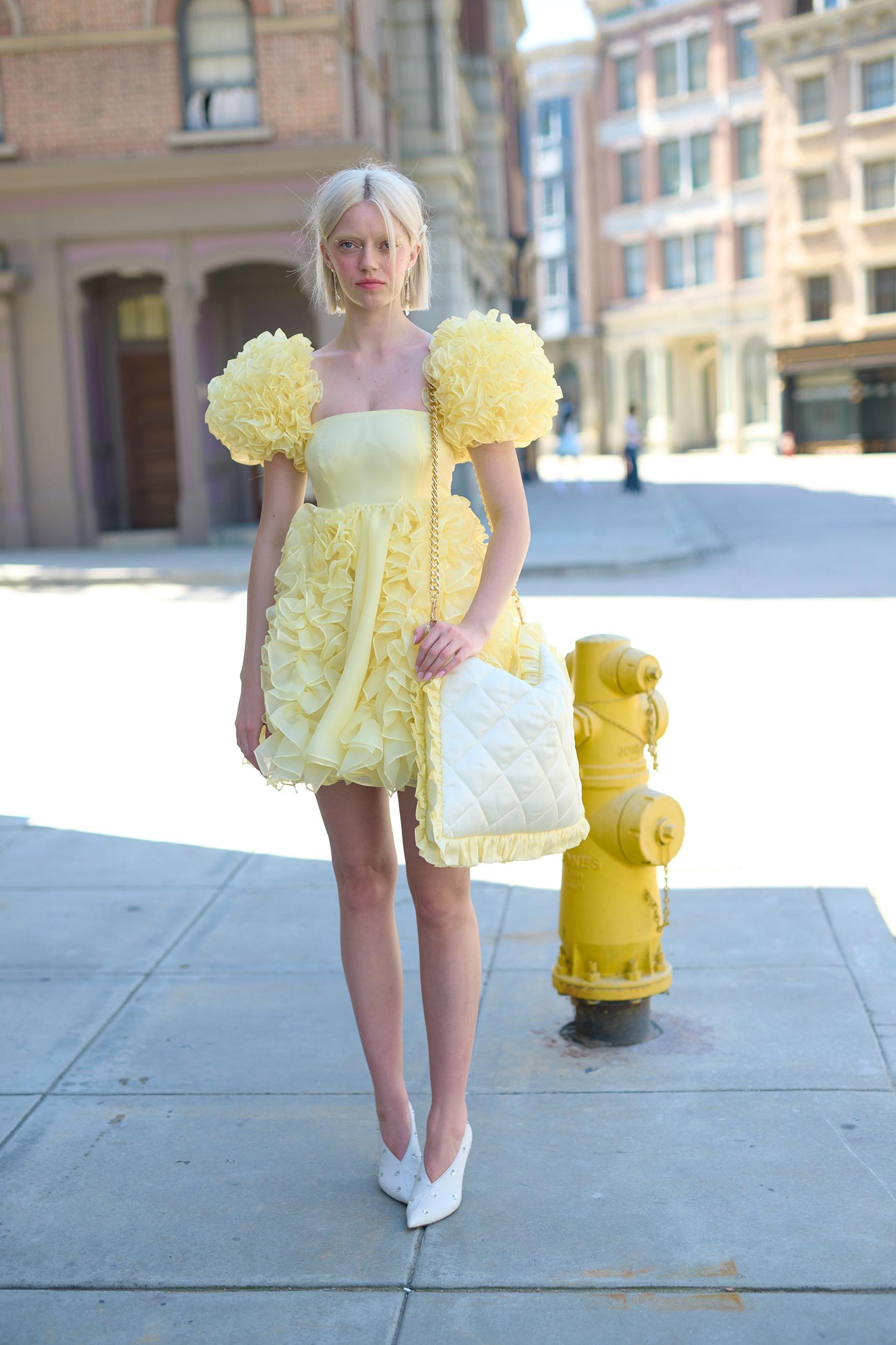 The Twinkie Paris Dress Product Image