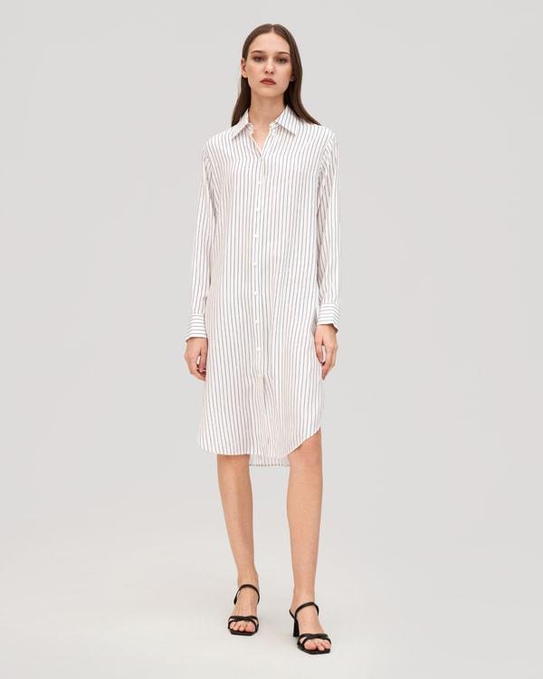 Pinstriped Freesia Shirt Dress Product Image