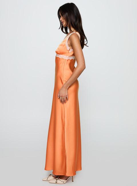 Natassja Maxi Dress Orange Product Image