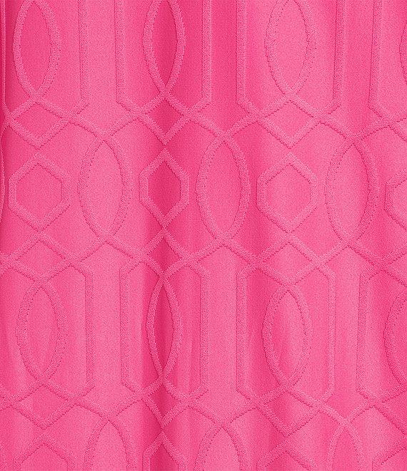 Jude Connally Tierney Jacquard Point Collar Short Sleeve Tiered Swing Dress Product Image