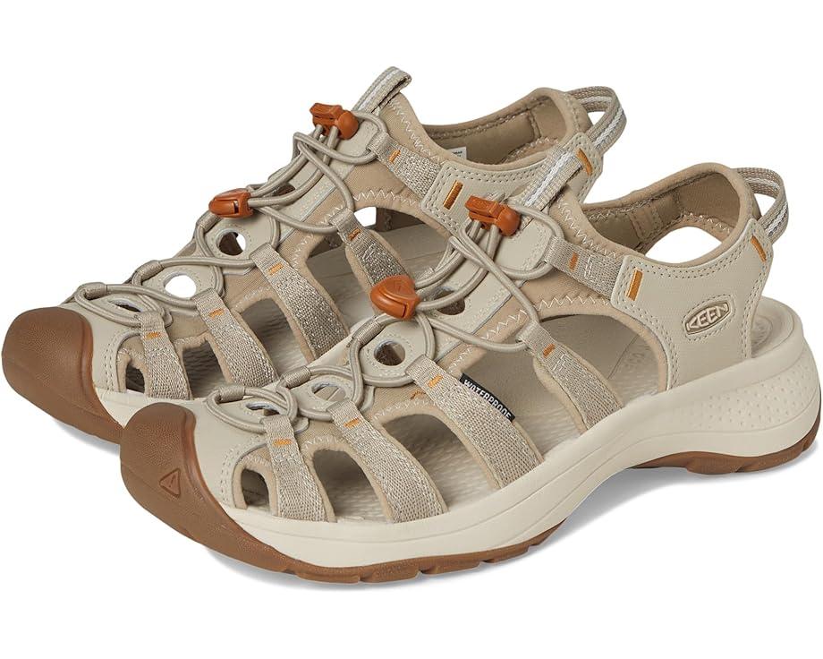 Newport H2 Product Image