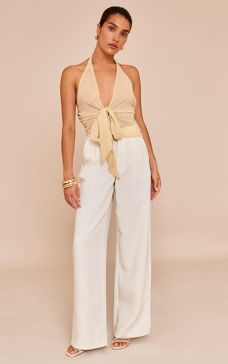 Petite Almond Sheer V Neck Drape Detail Top Product Image