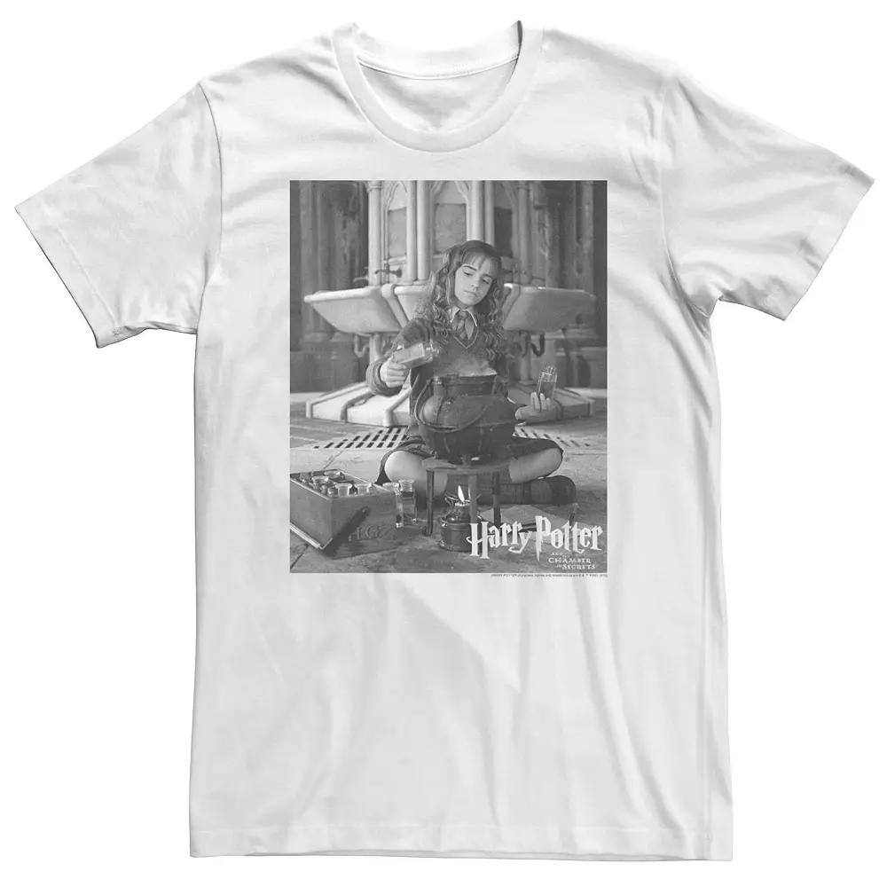 Big & Tall Harry Potter Hermione Potions Poster Tee, Men's,  Product Image