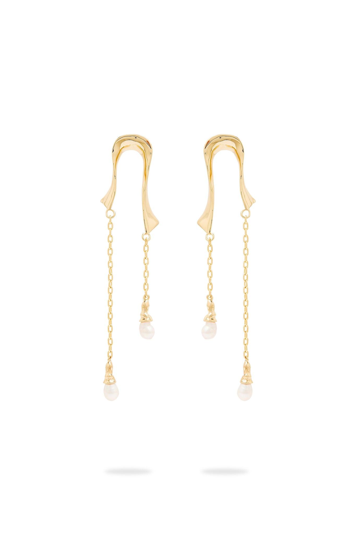 Nebula Maxi Dress Product Image