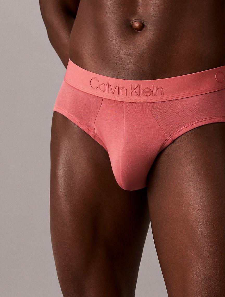 Ultra Soft Modal Hip Brief Product Image