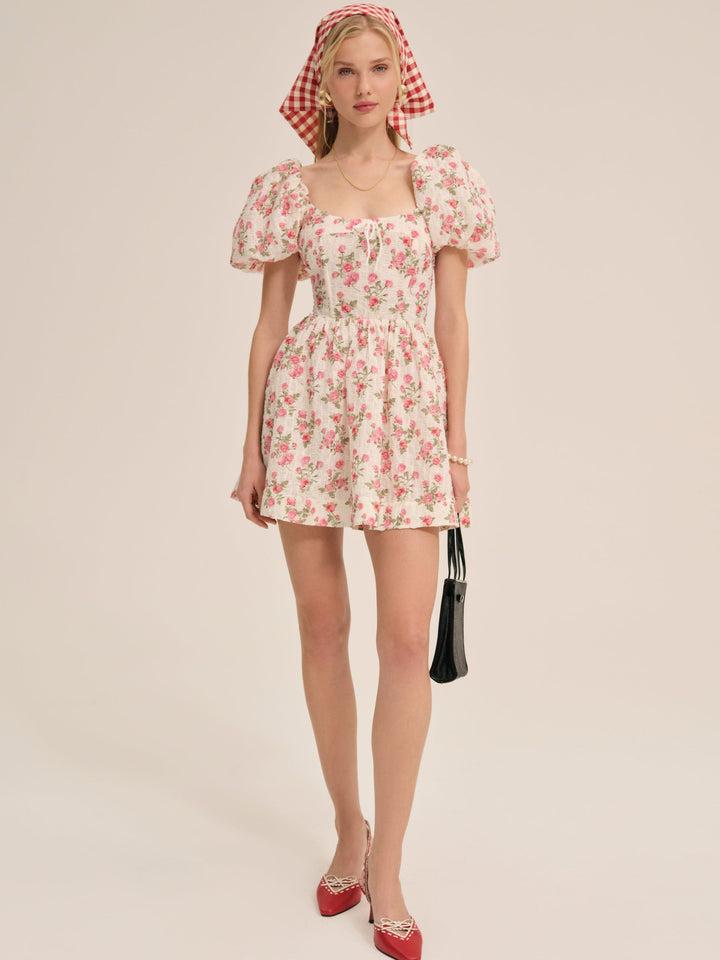 Backyard Bunches Mini Dress — White Product Image