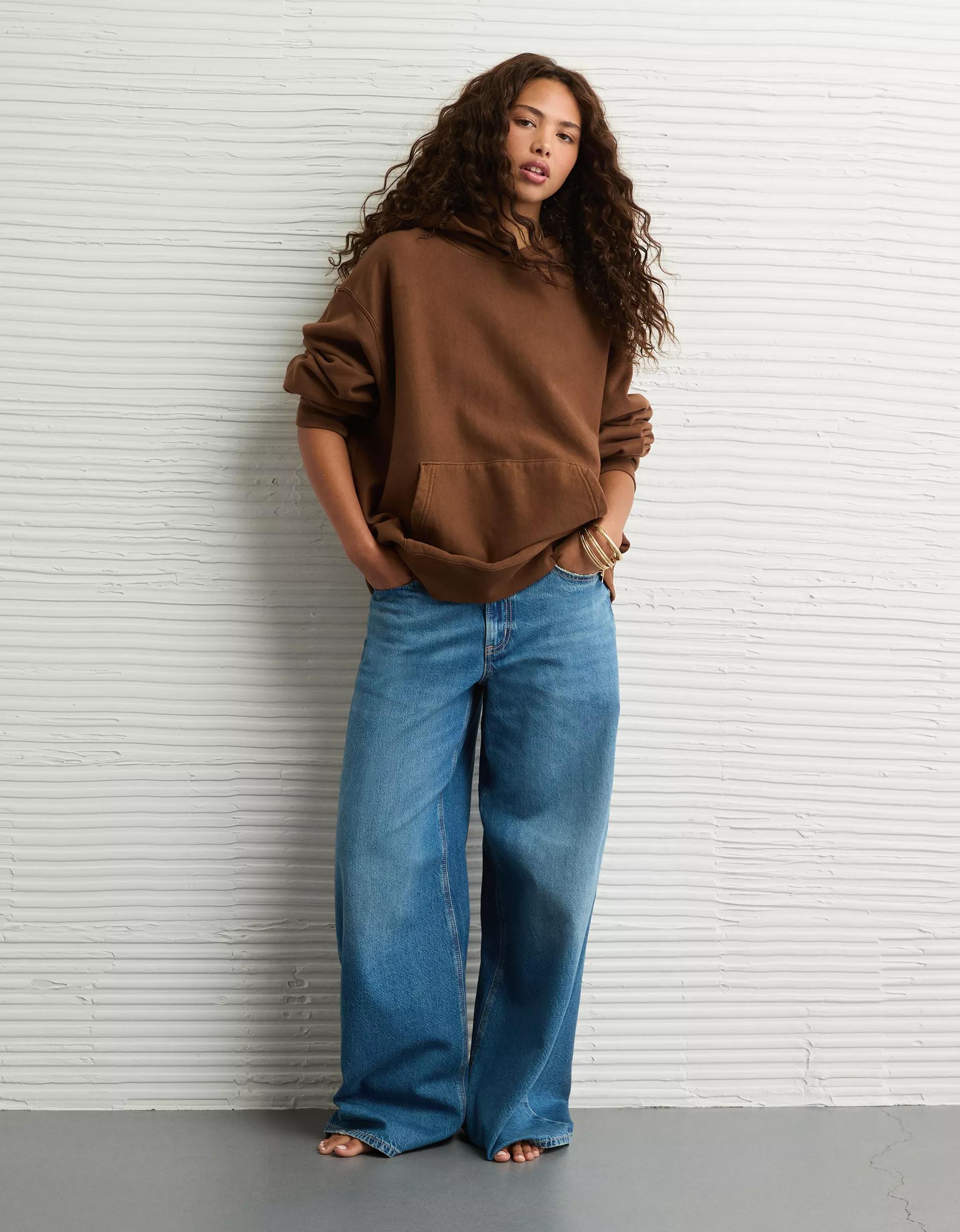 AE Laidback Luxe Heavyweight Hoodie Product Image