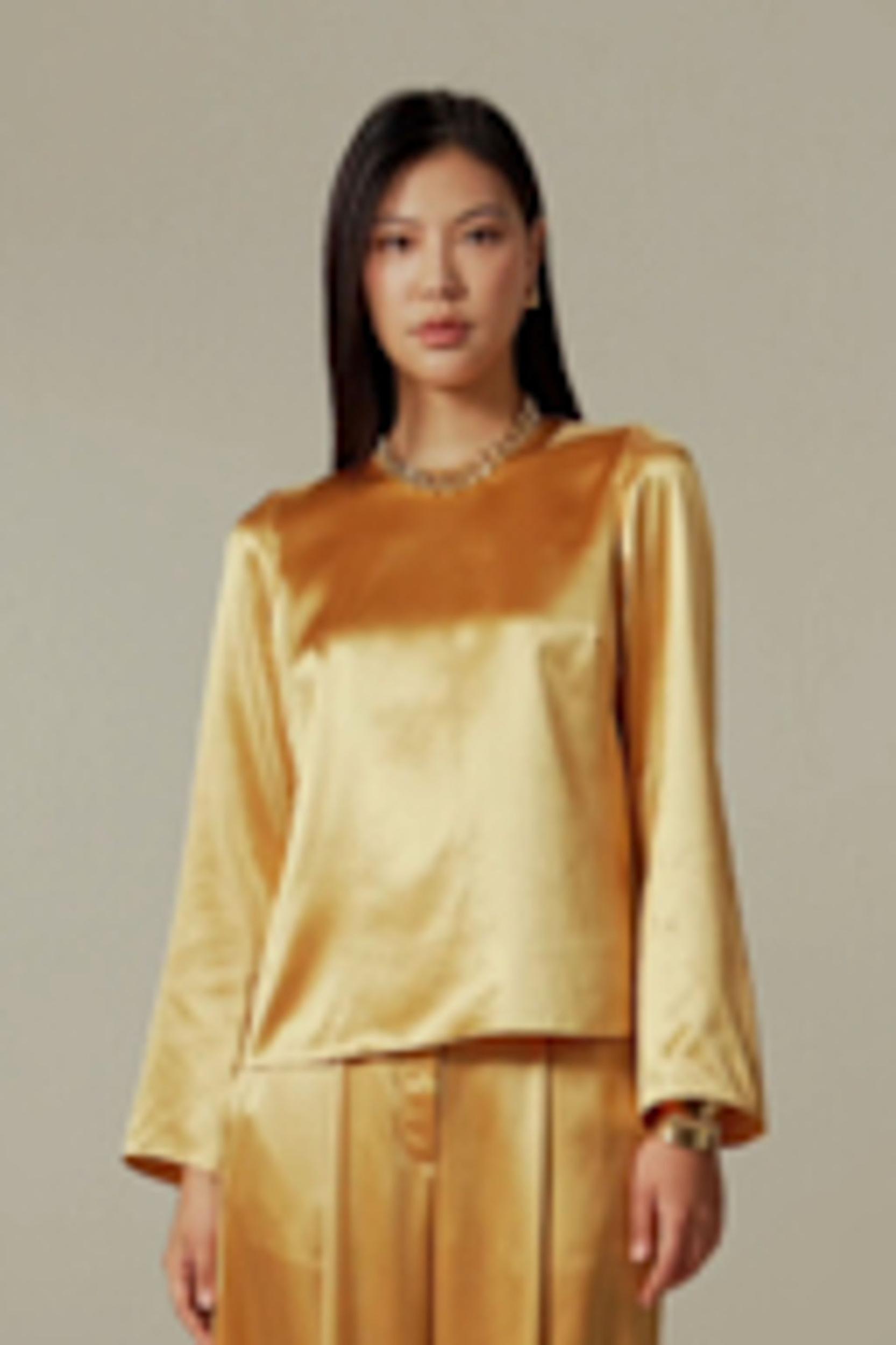 Minimalist Long Sleeve Silk Top Product Image