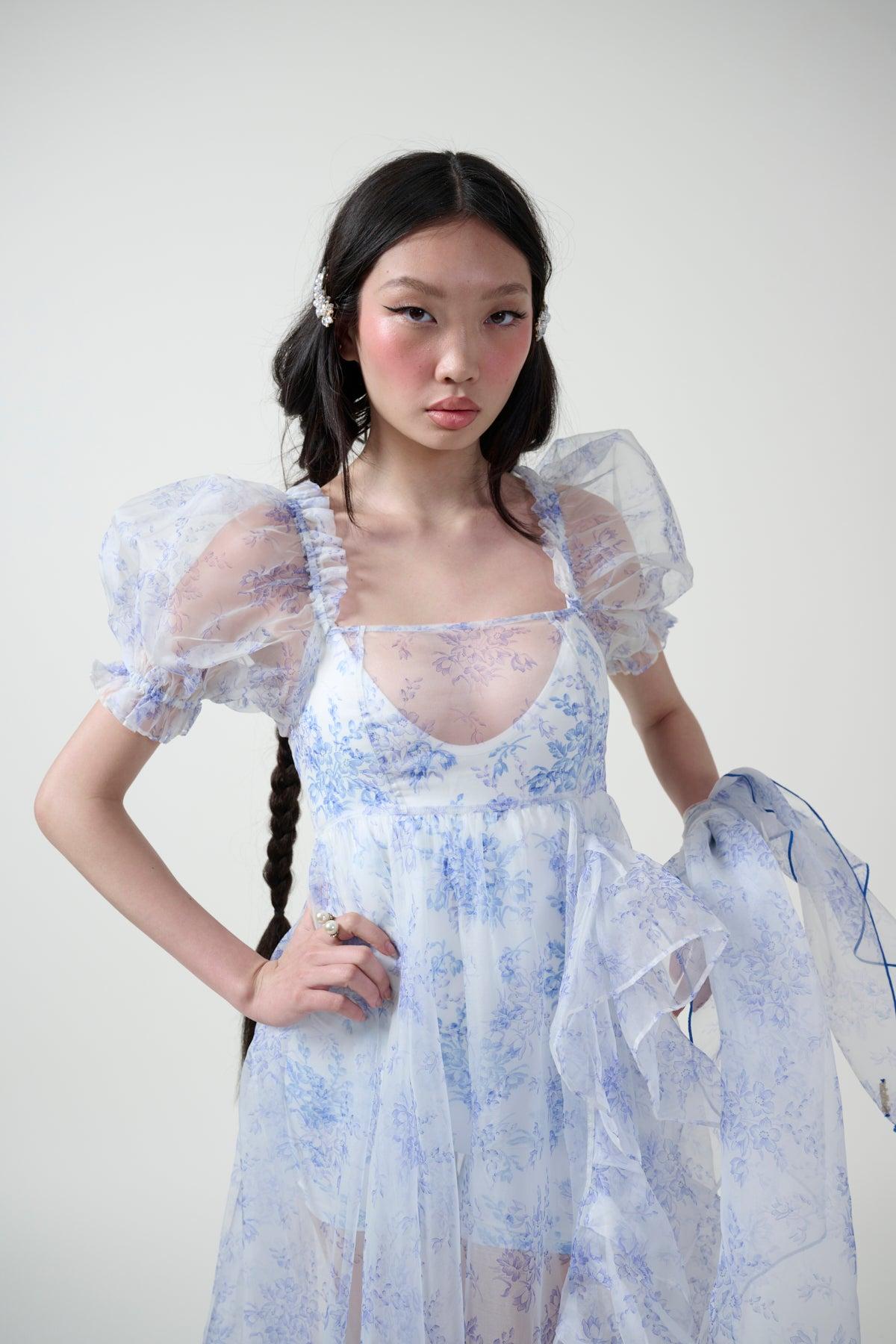The Bed & Breakfast Sheer Delight Ruffle Gown Product Image