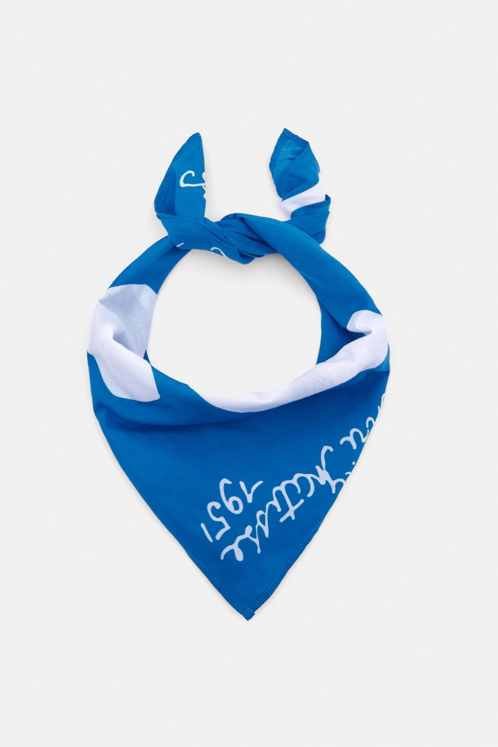 Henri Matisse bandanna scarf Product Image